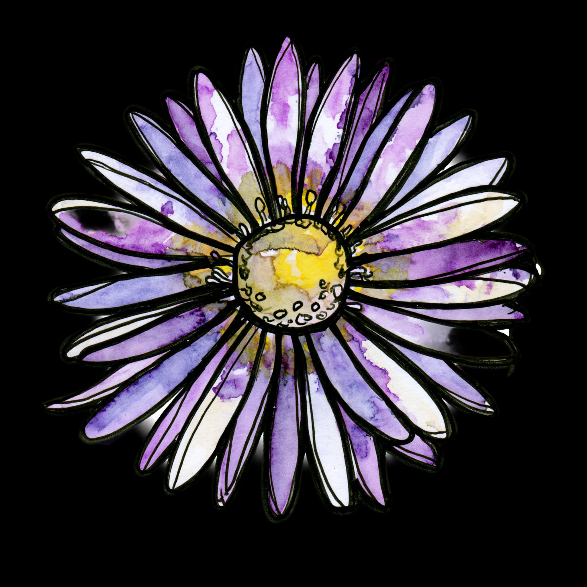 Aster