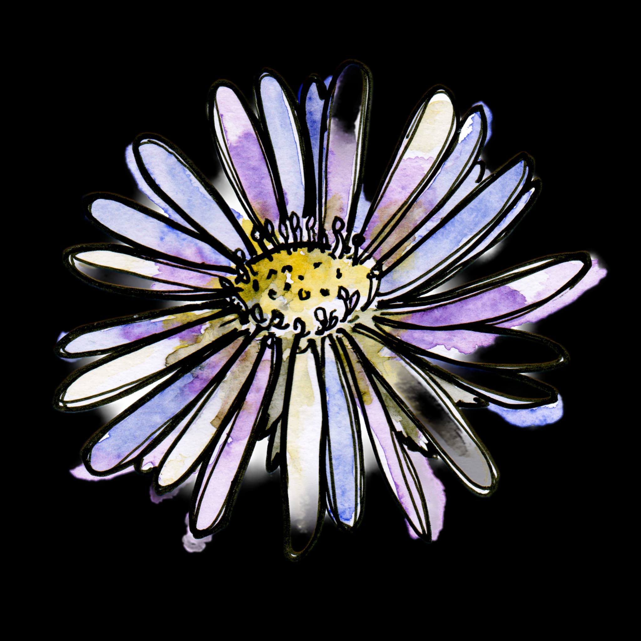 Aster