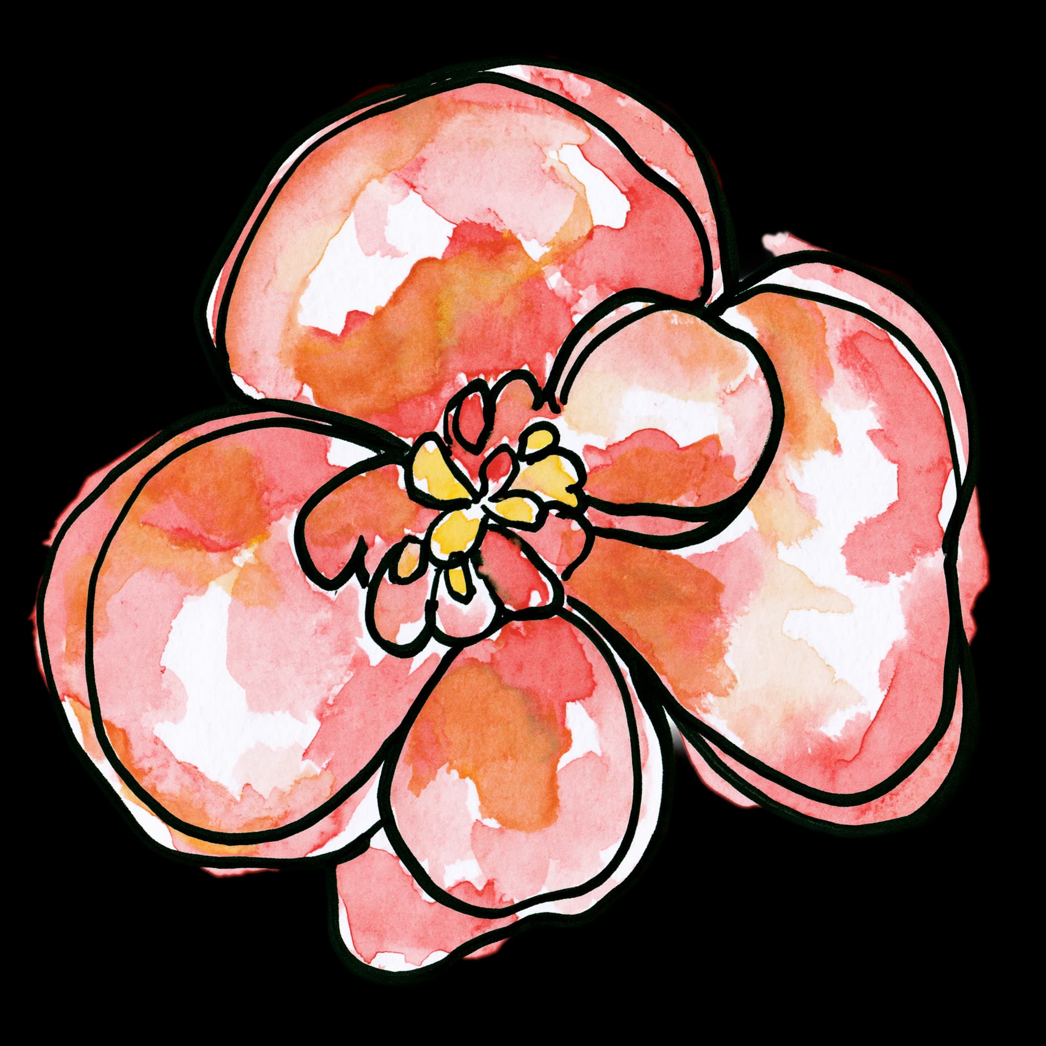 Begonia