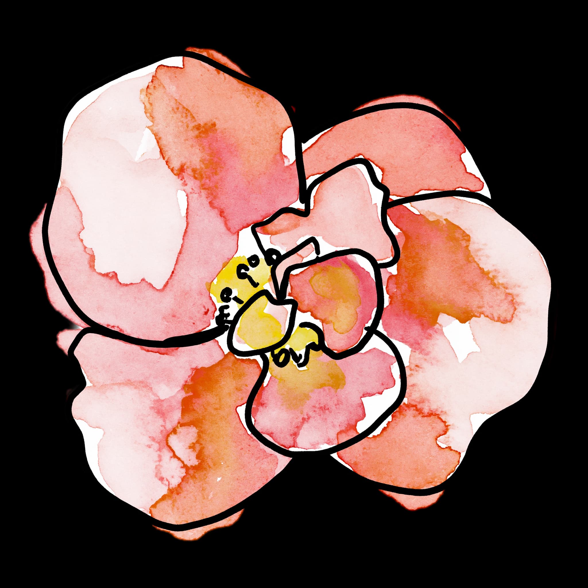Begonia