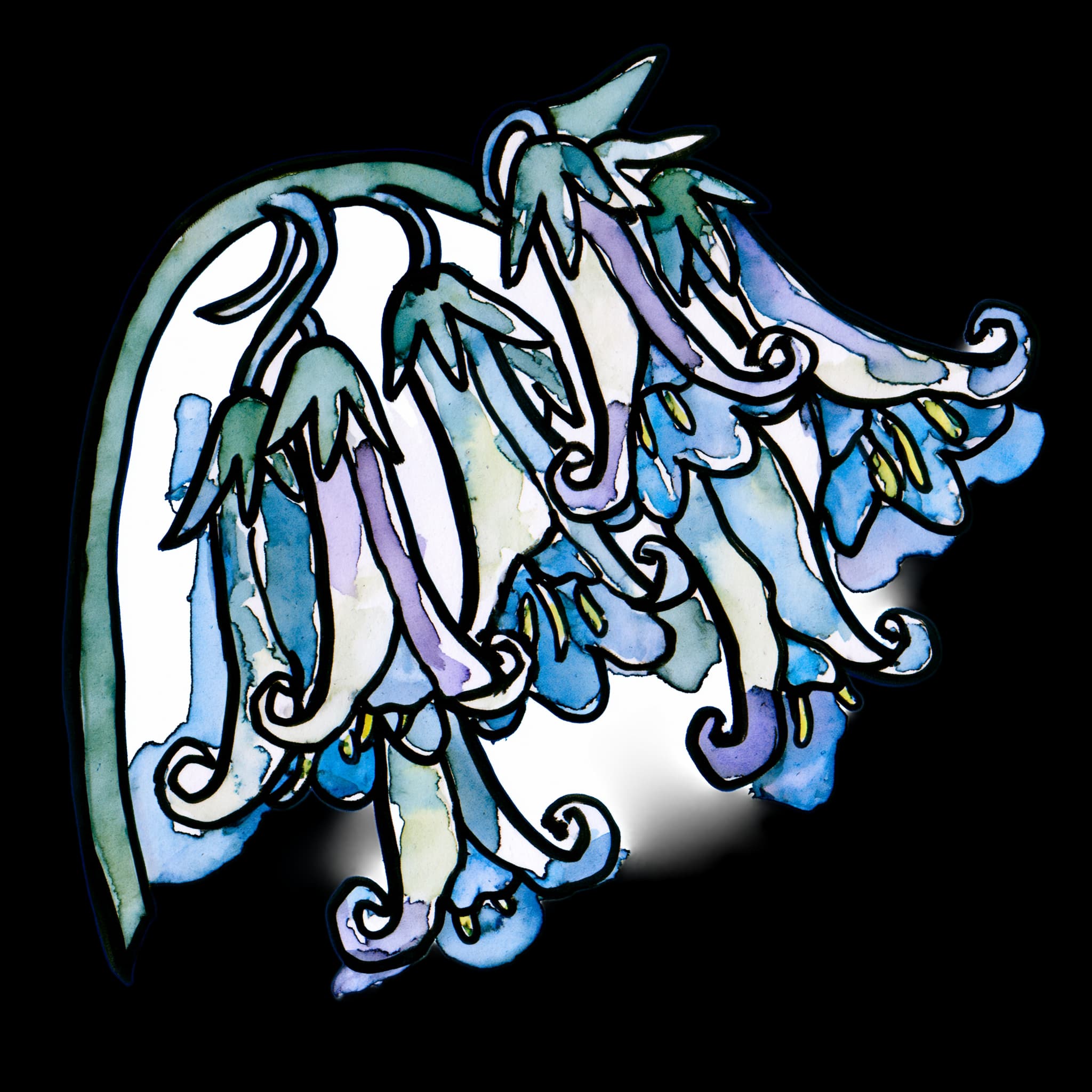 Bluebell