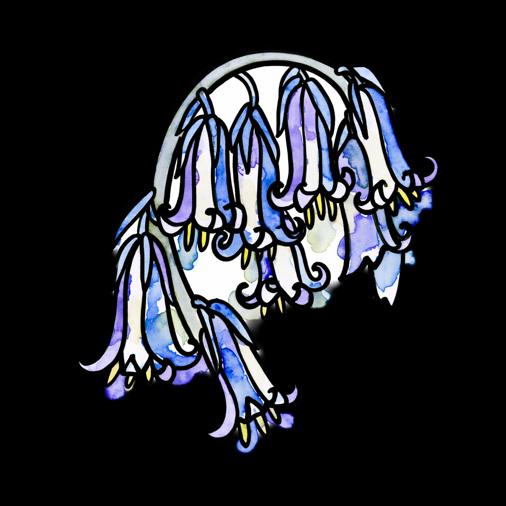 Bluebell