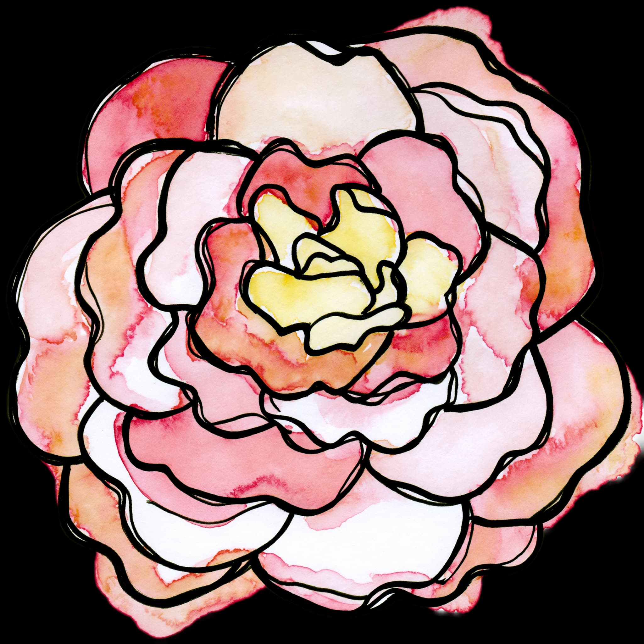 Camellia
