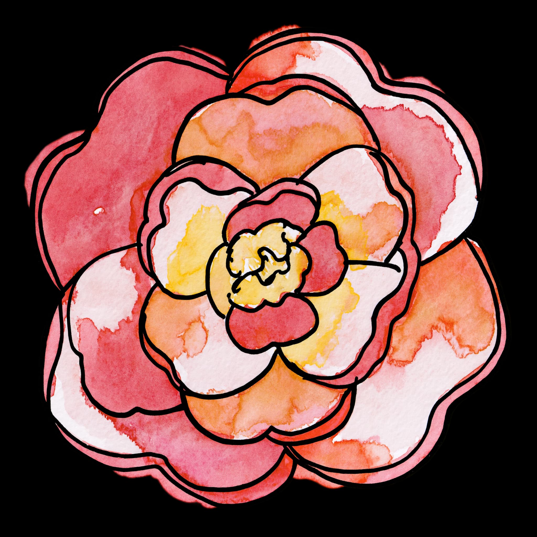 Camellia