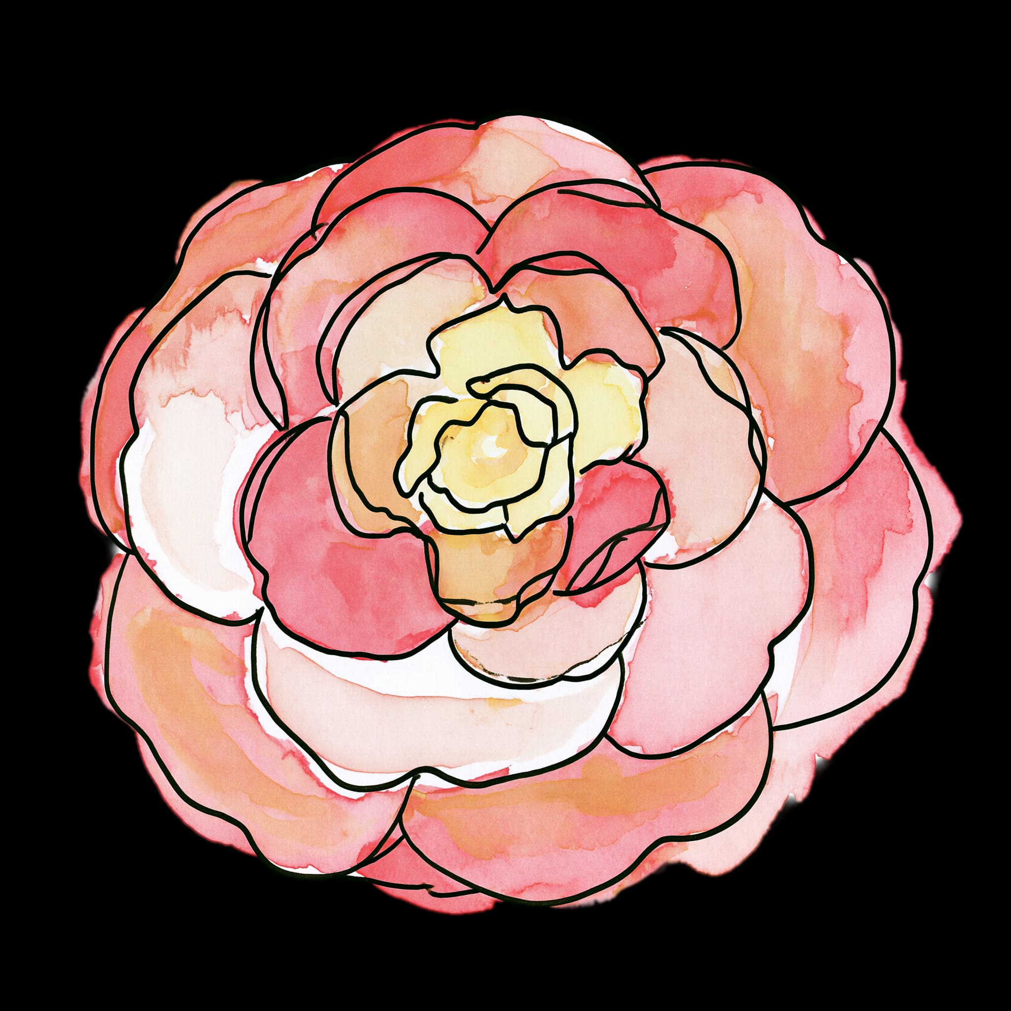 Camellia