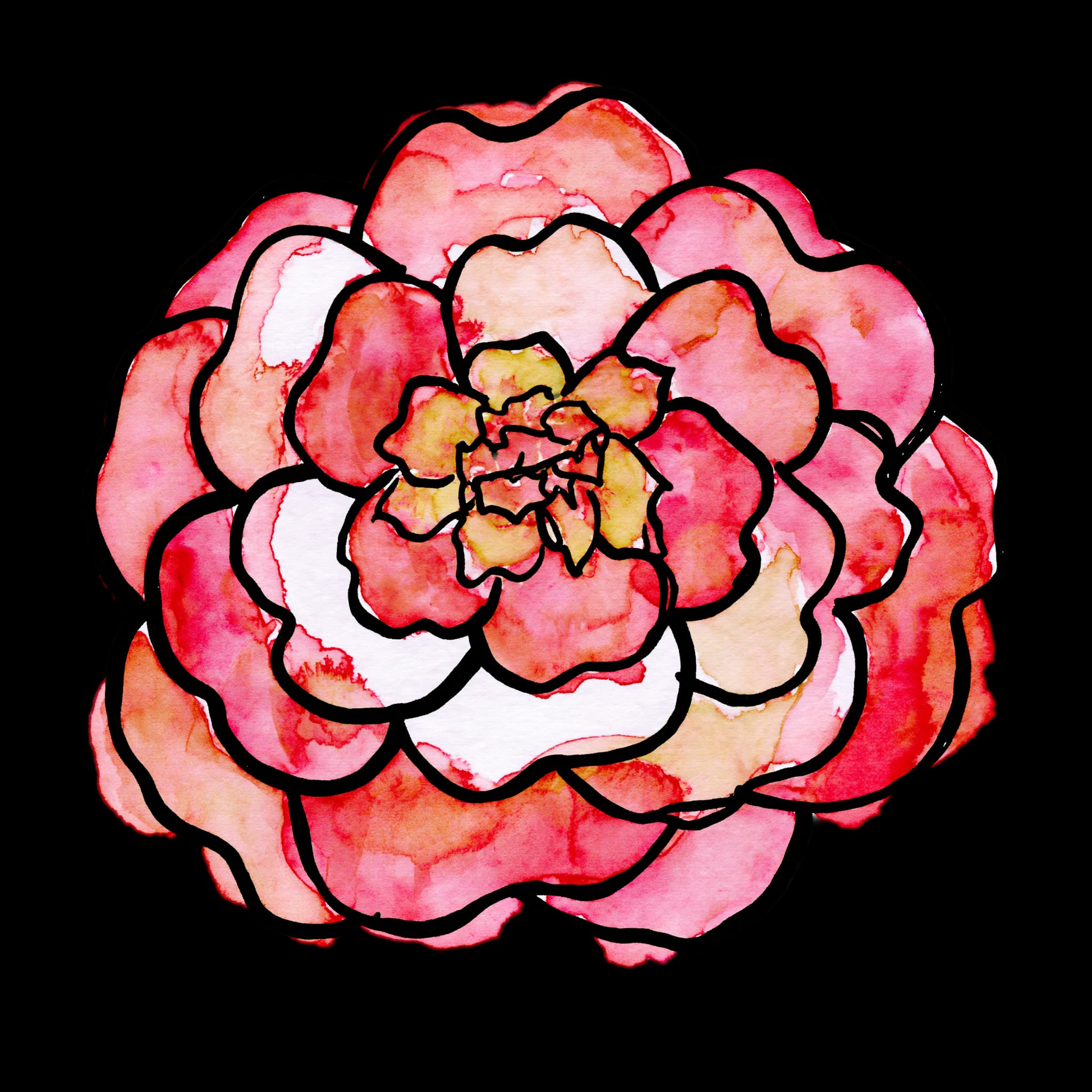 Camellia
