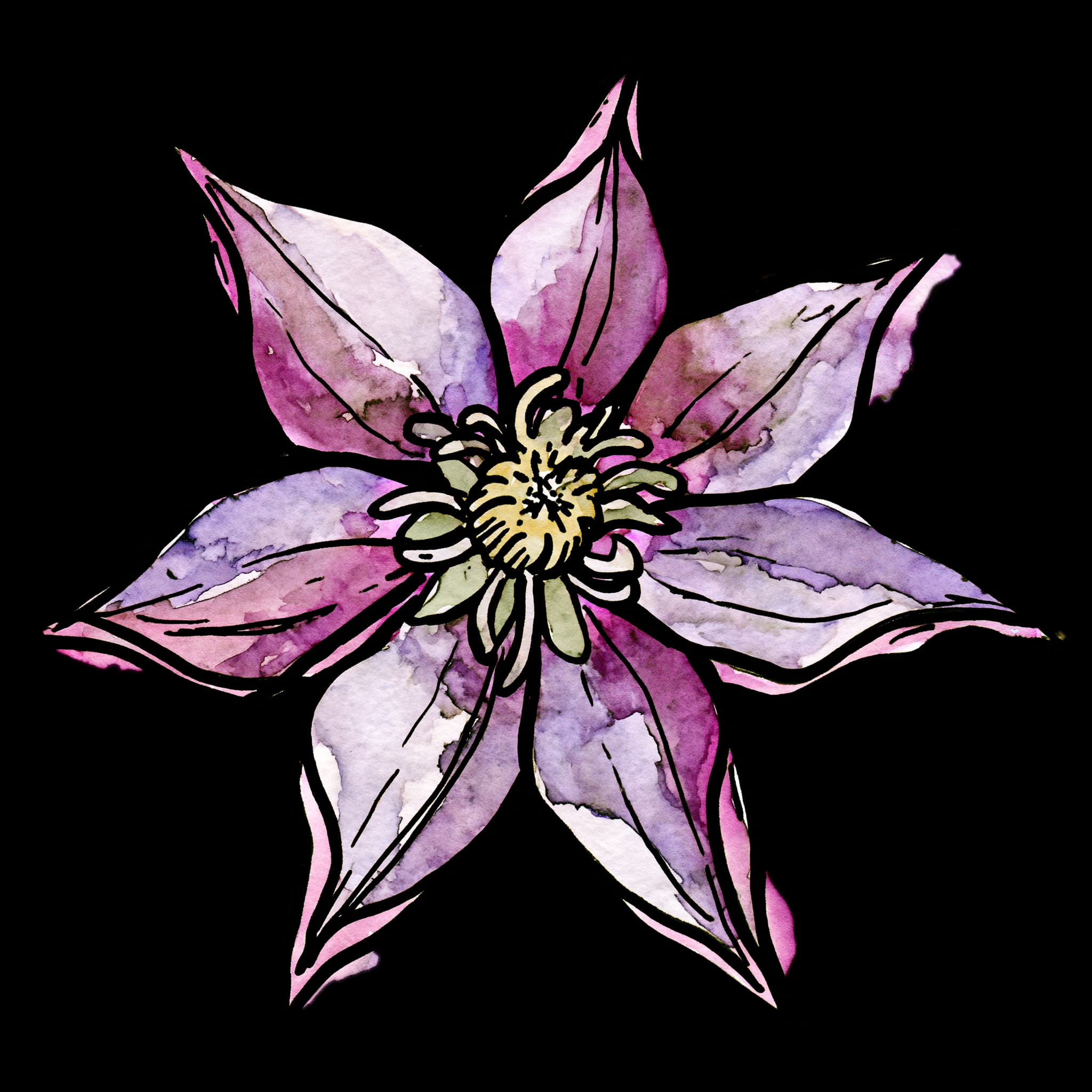 Clematis
