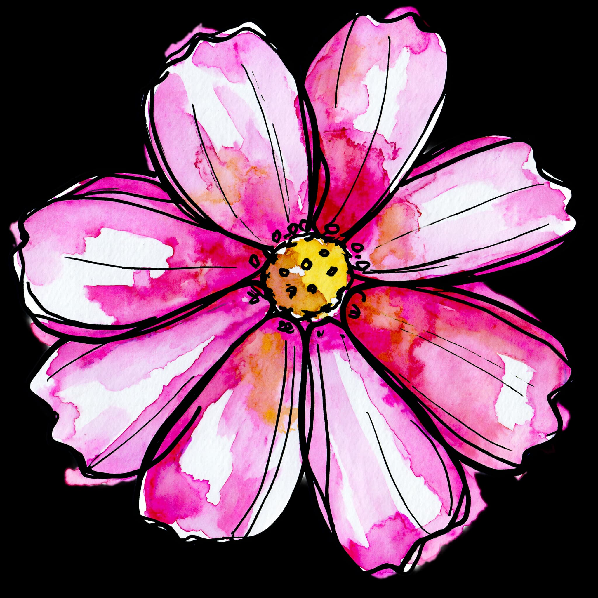 Cosmos