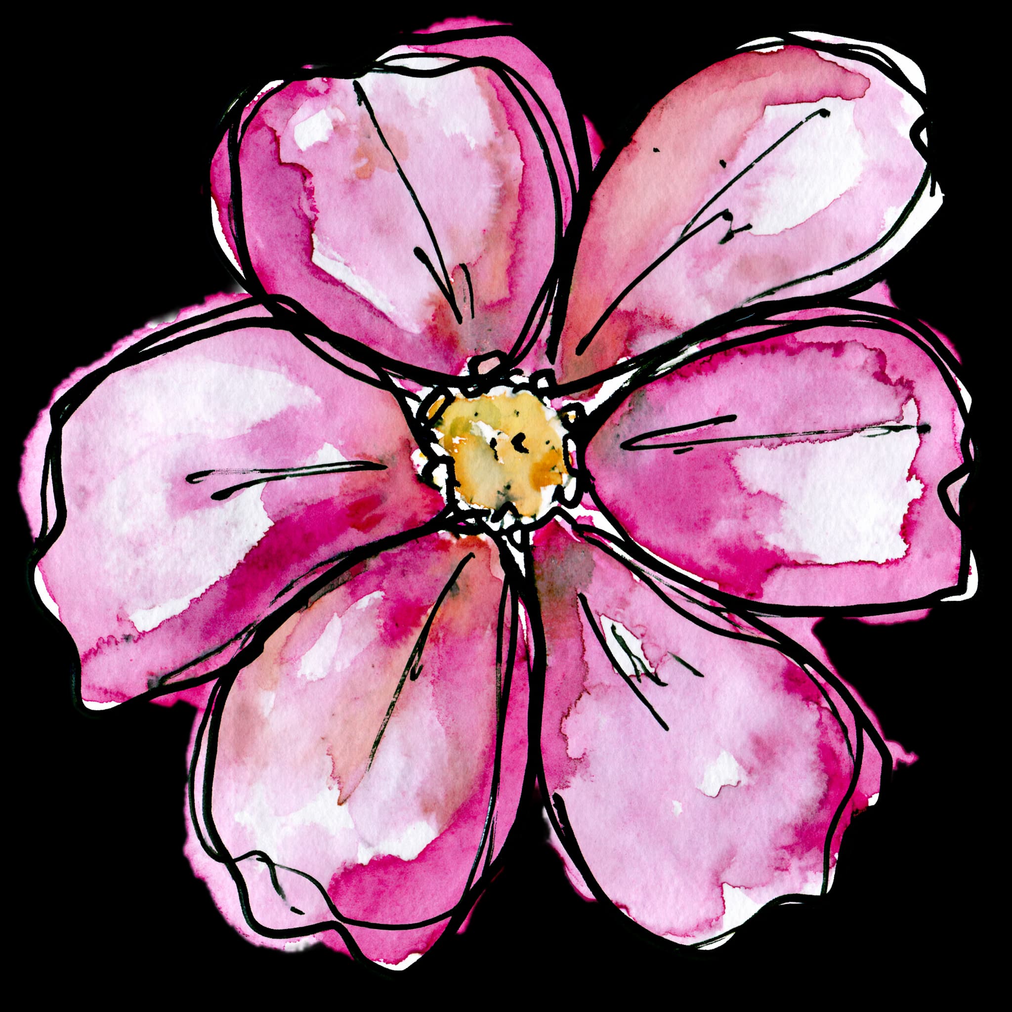 Cosmos
