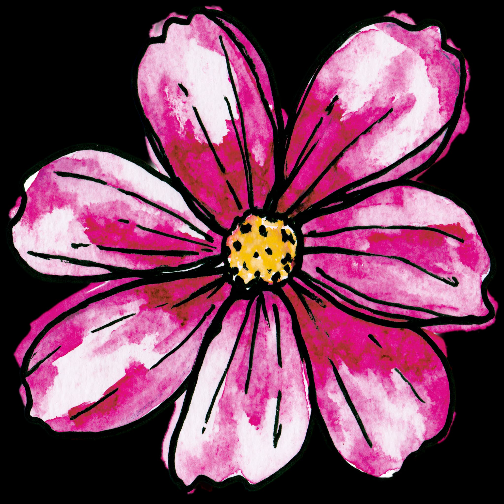 Cosmos