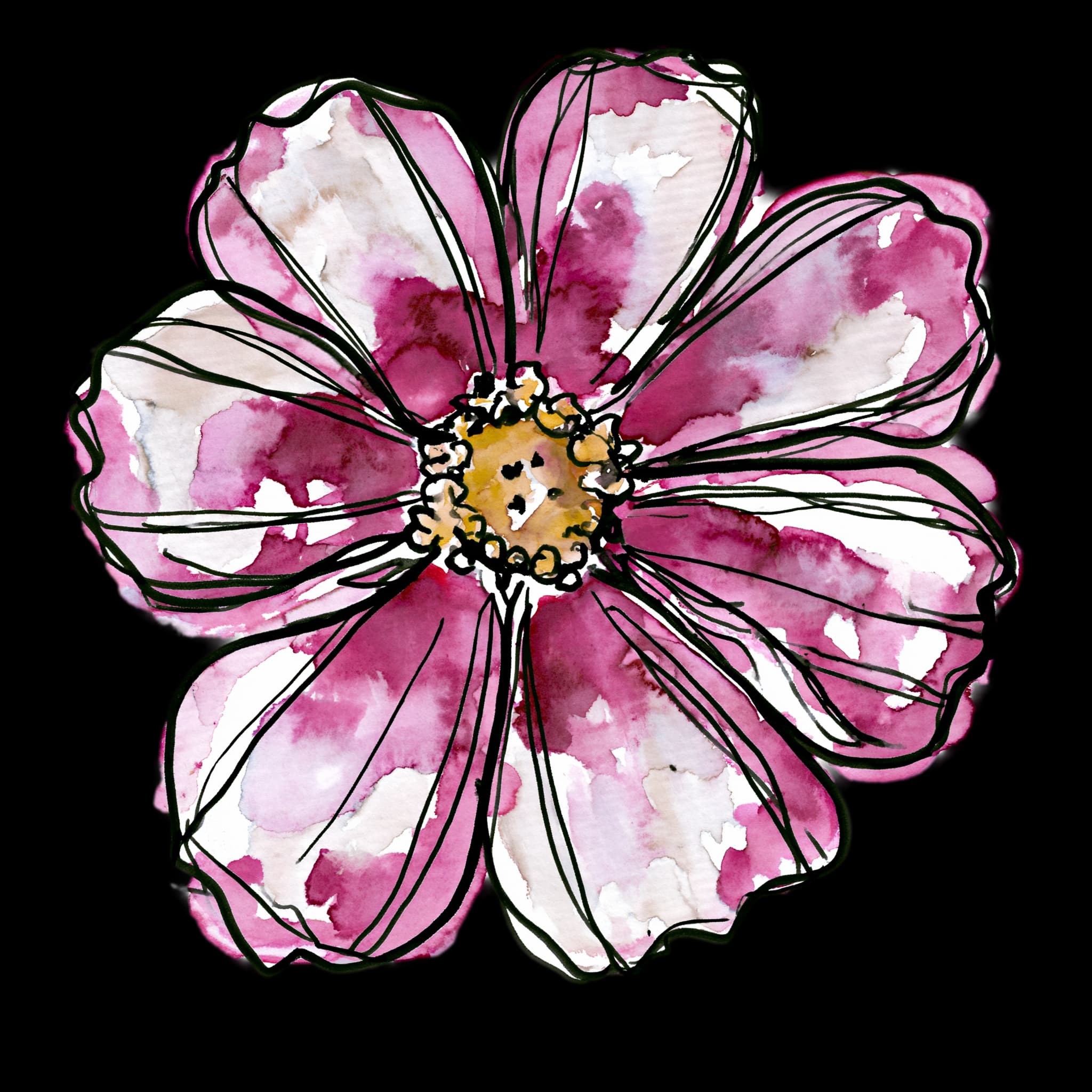 Cosmos