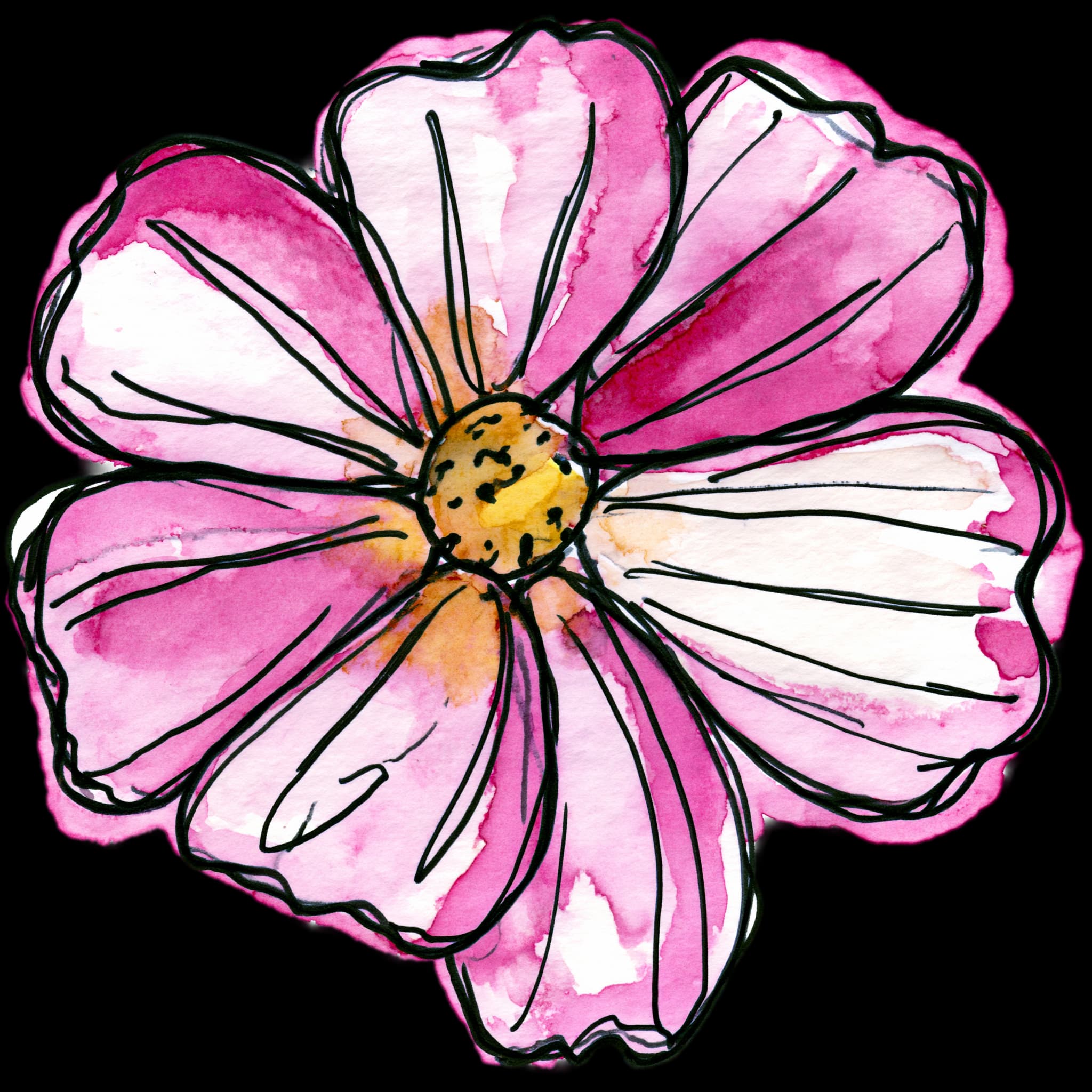 Cosmos