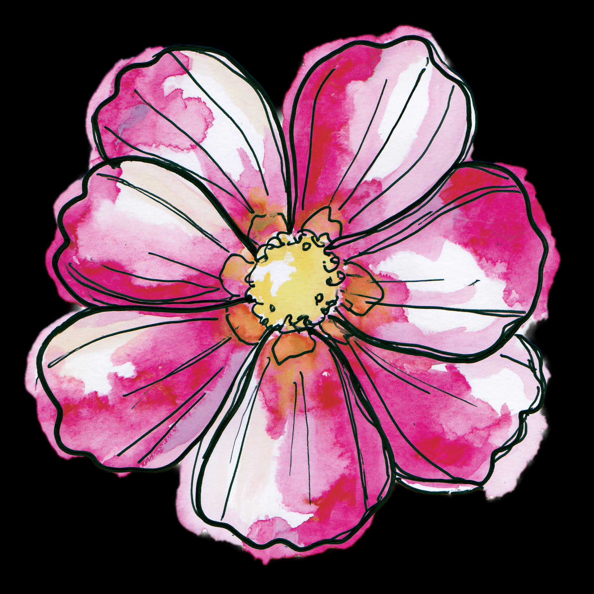 Cosmos