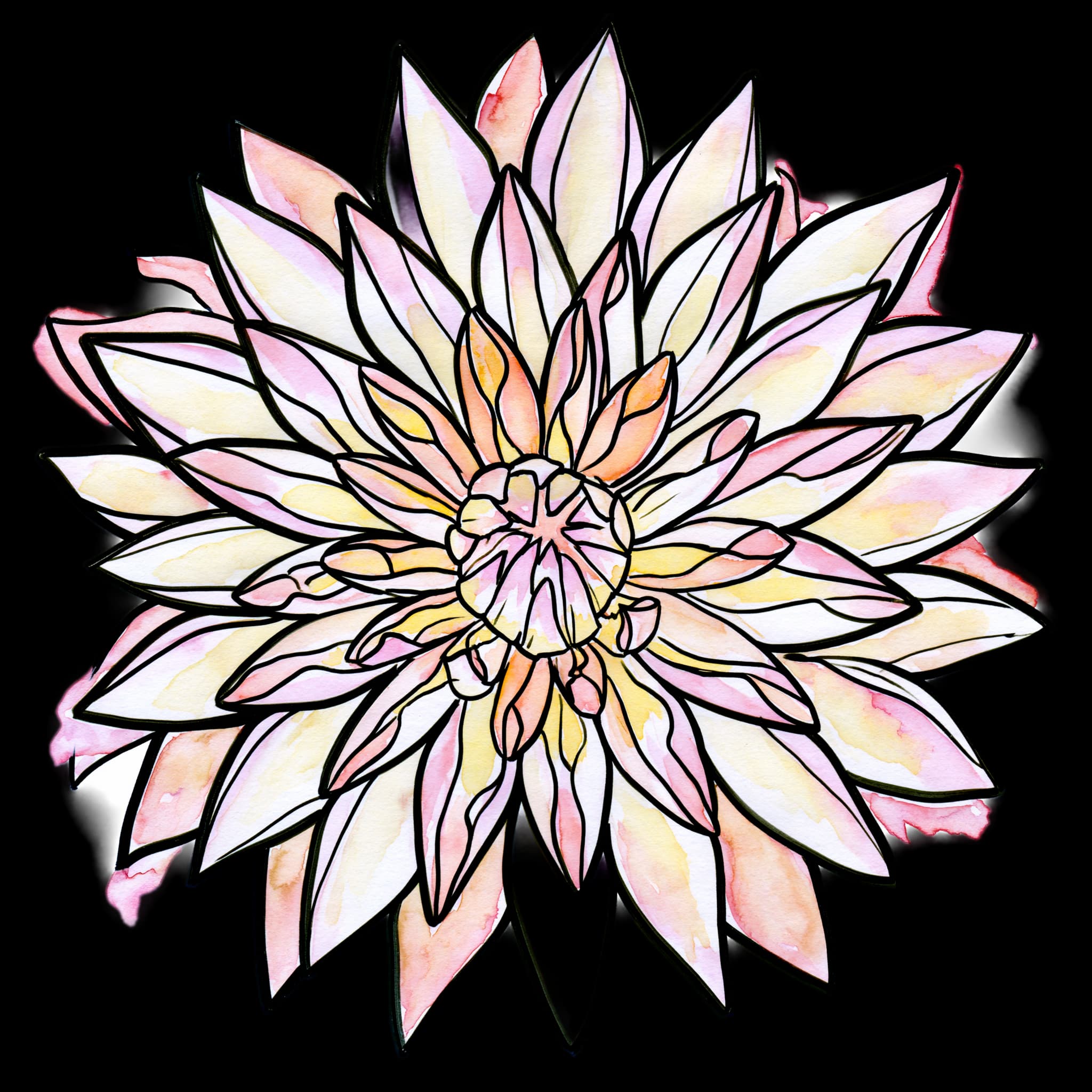 Dahlia