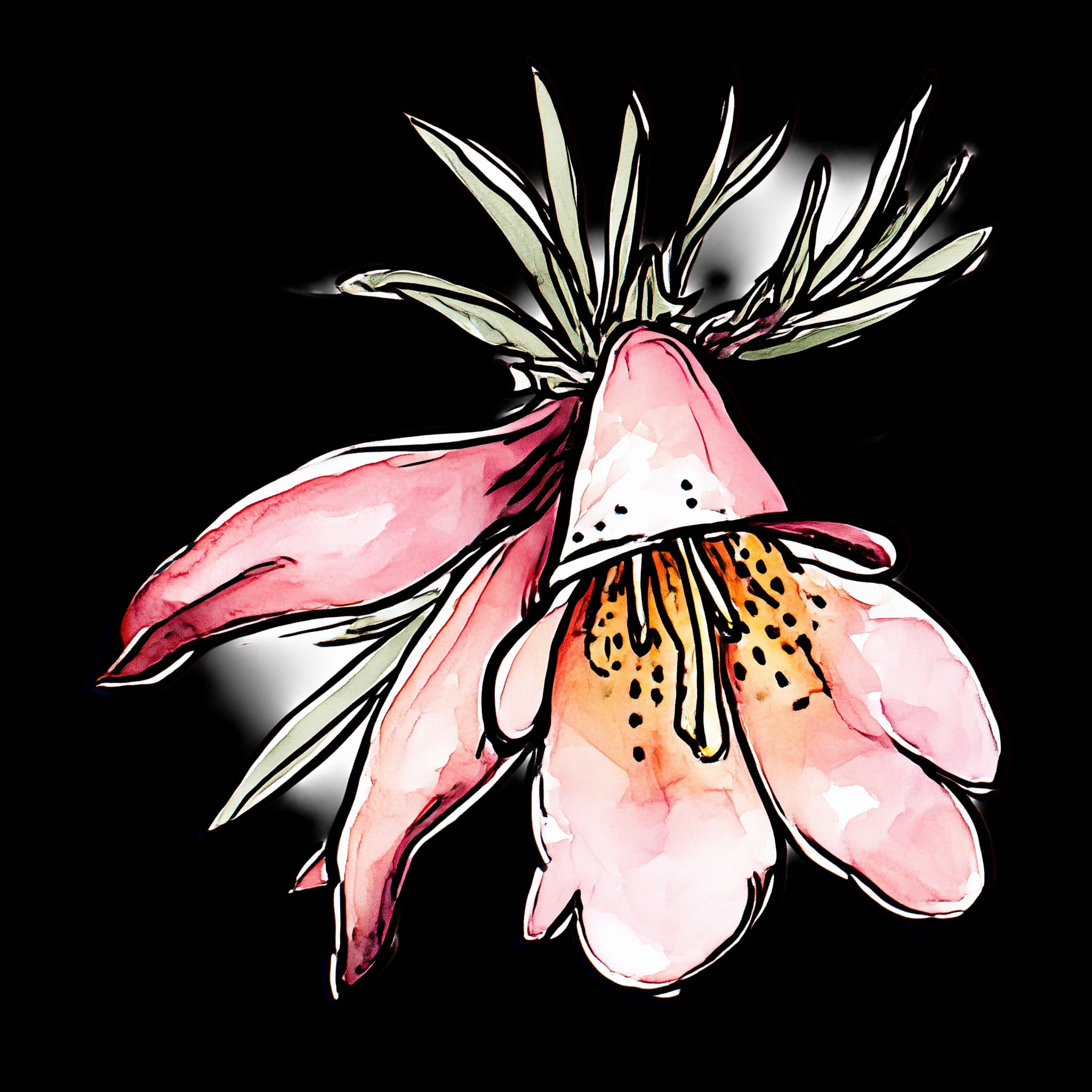 Eremophila
