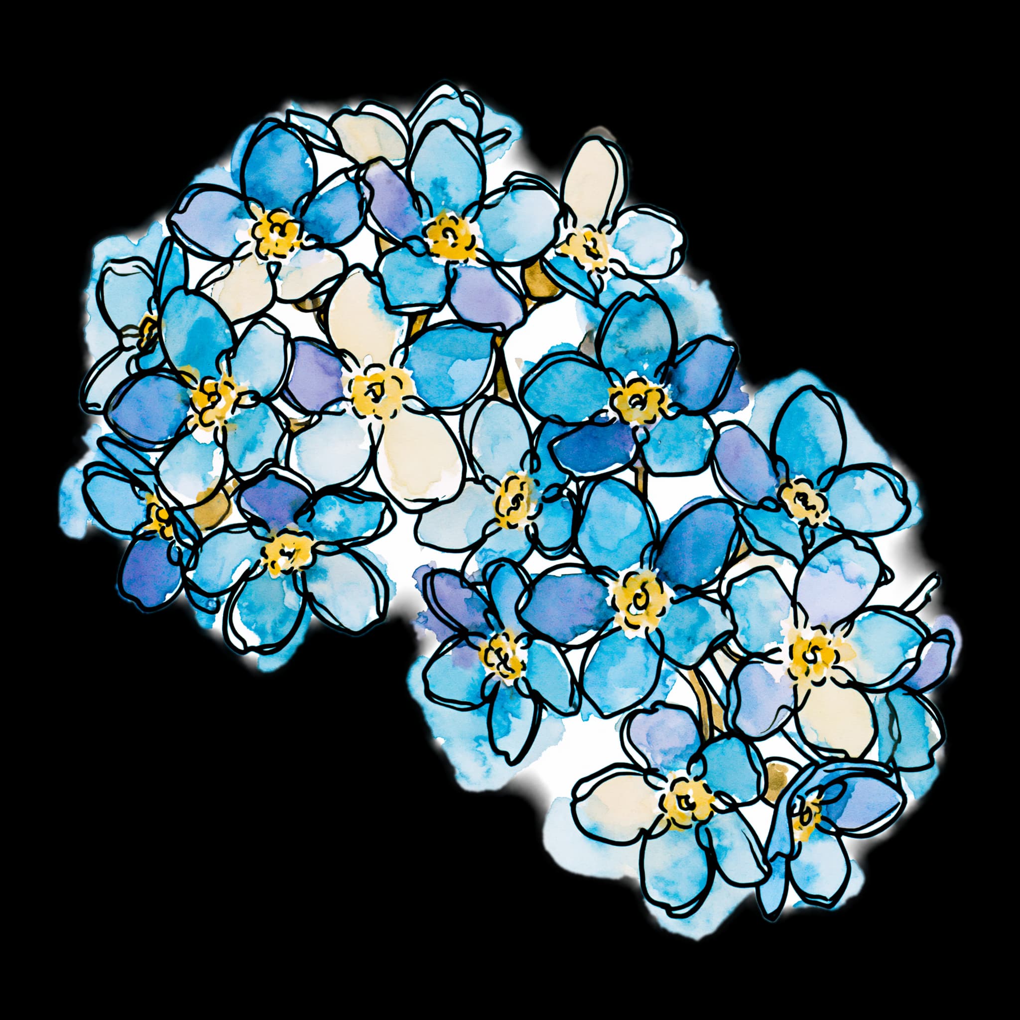 Forget Me Not