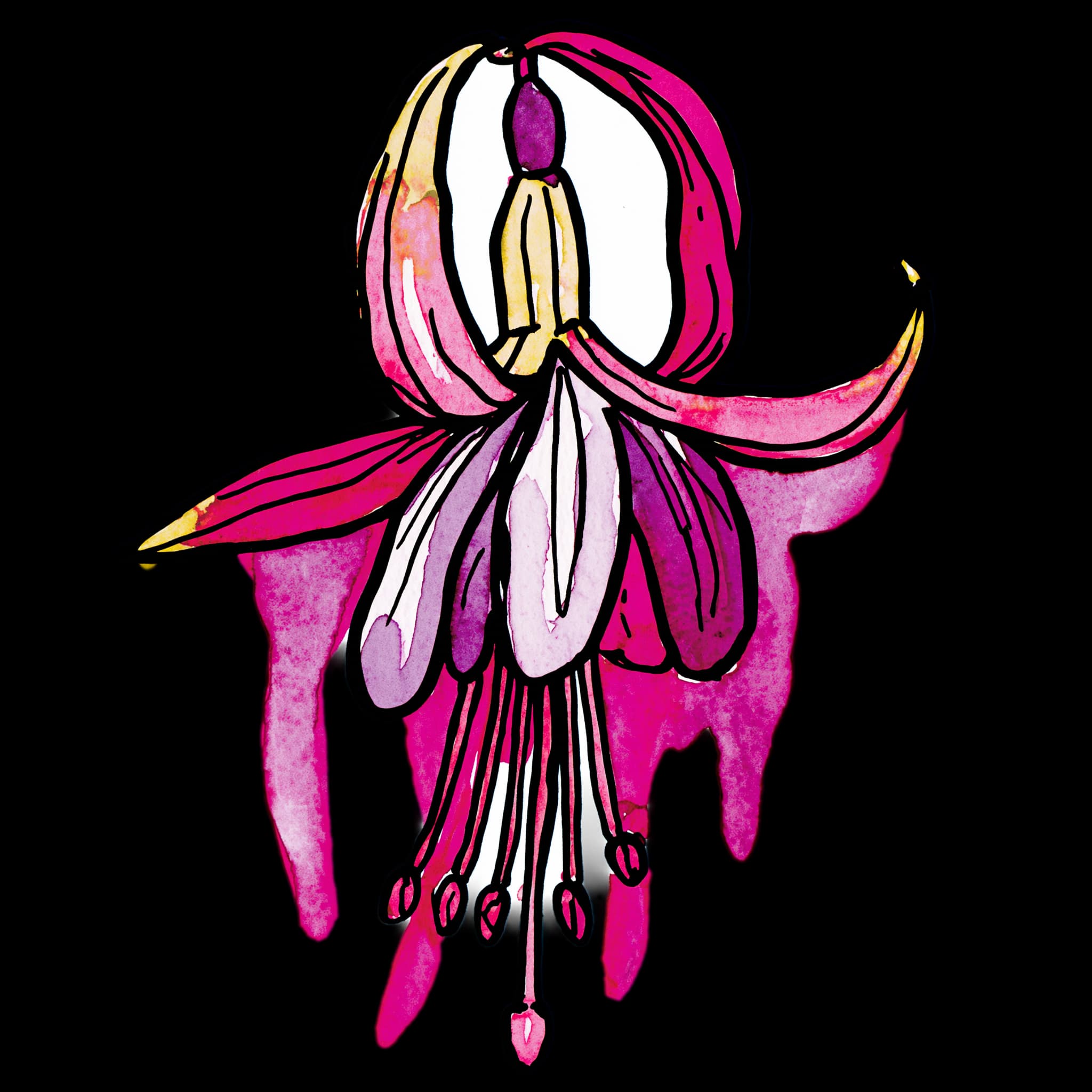 Fuchsia