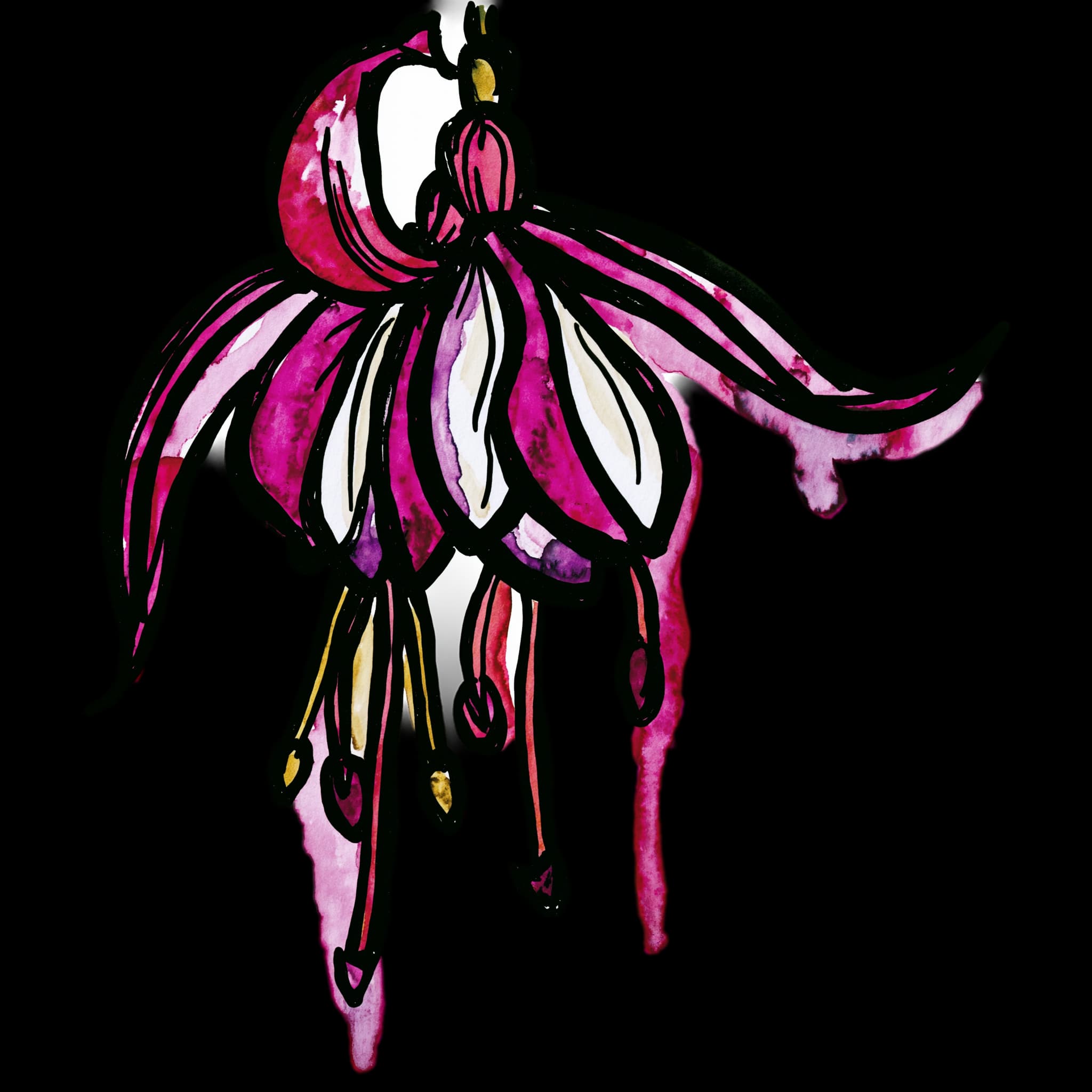 Fuchsia