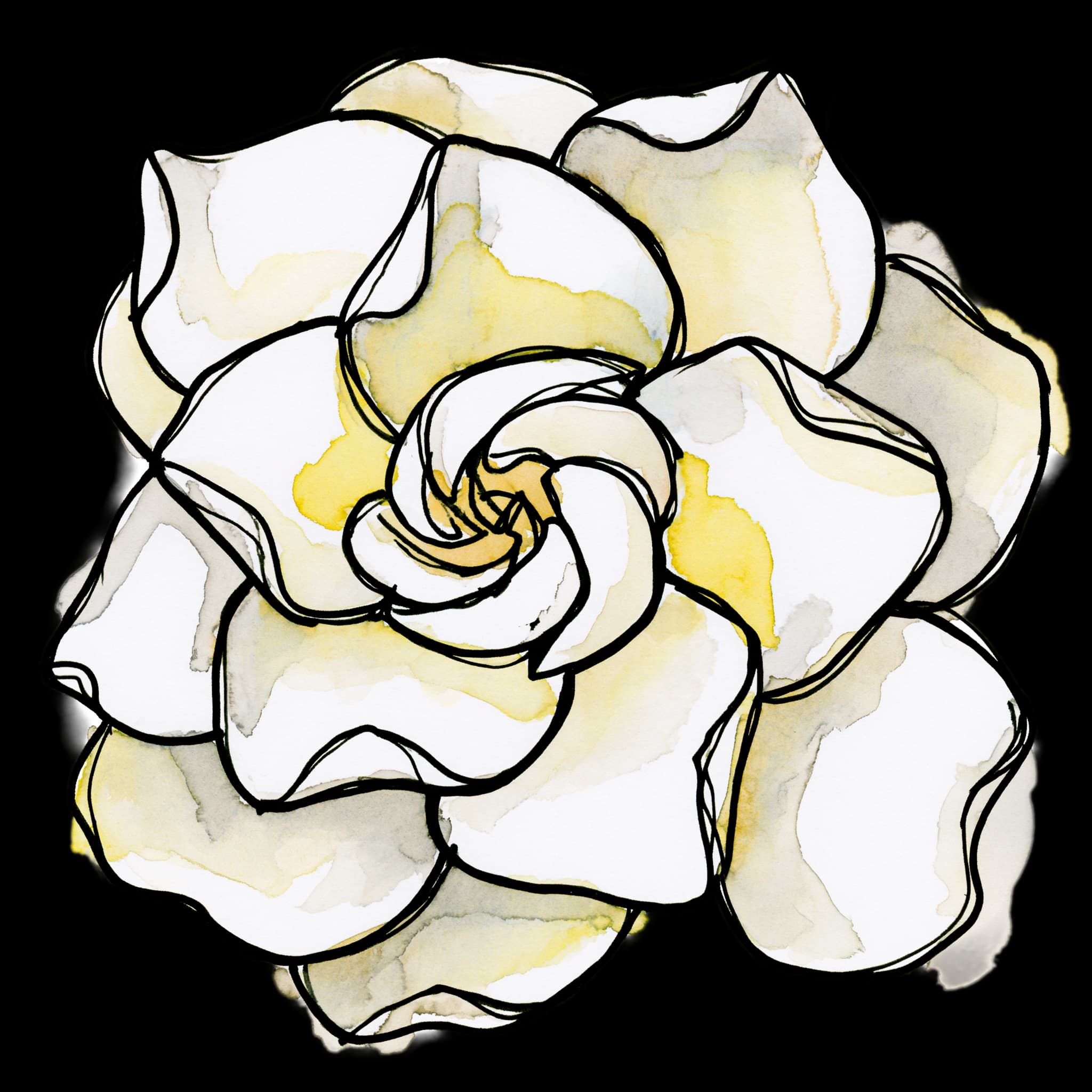 Gardenia