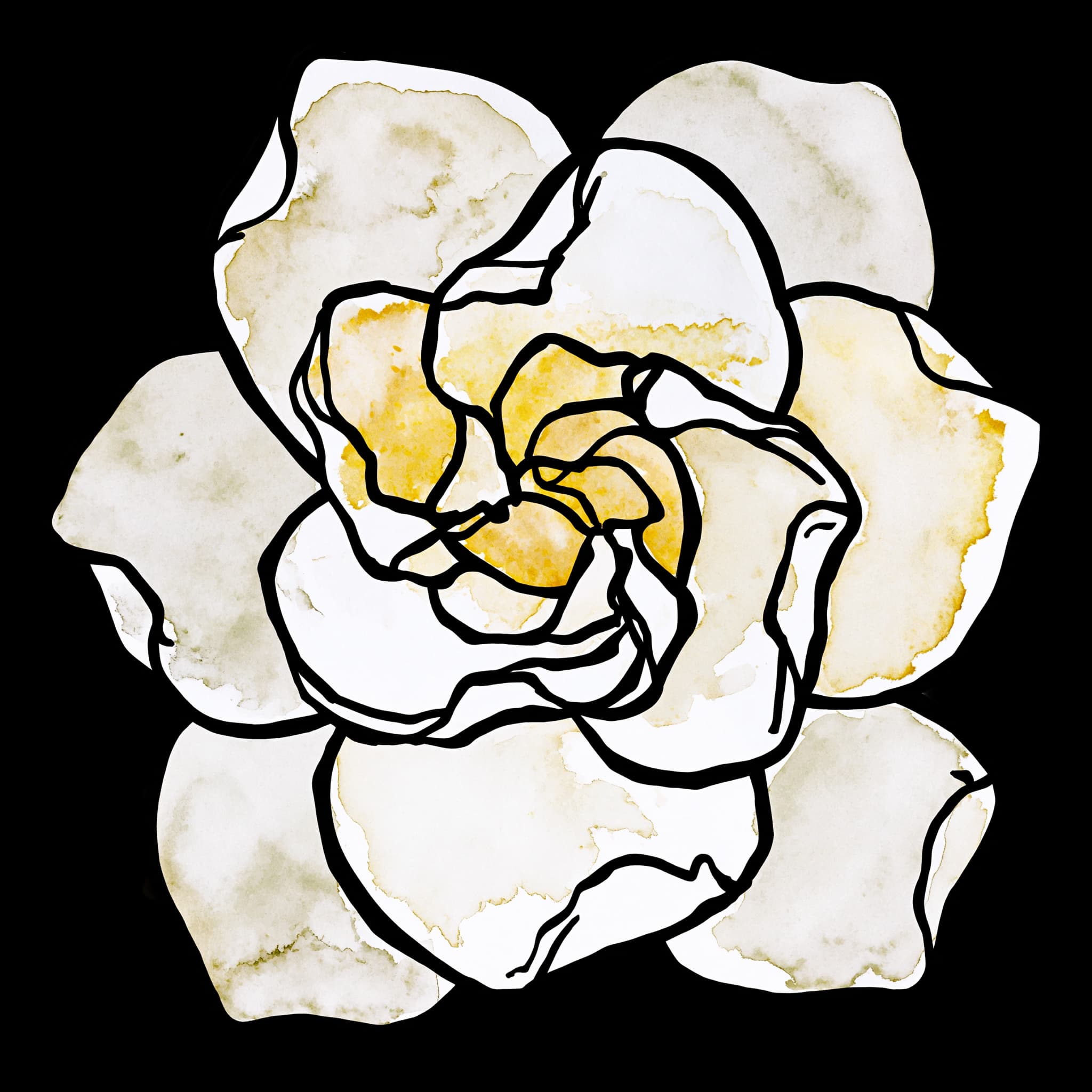Gardenia
