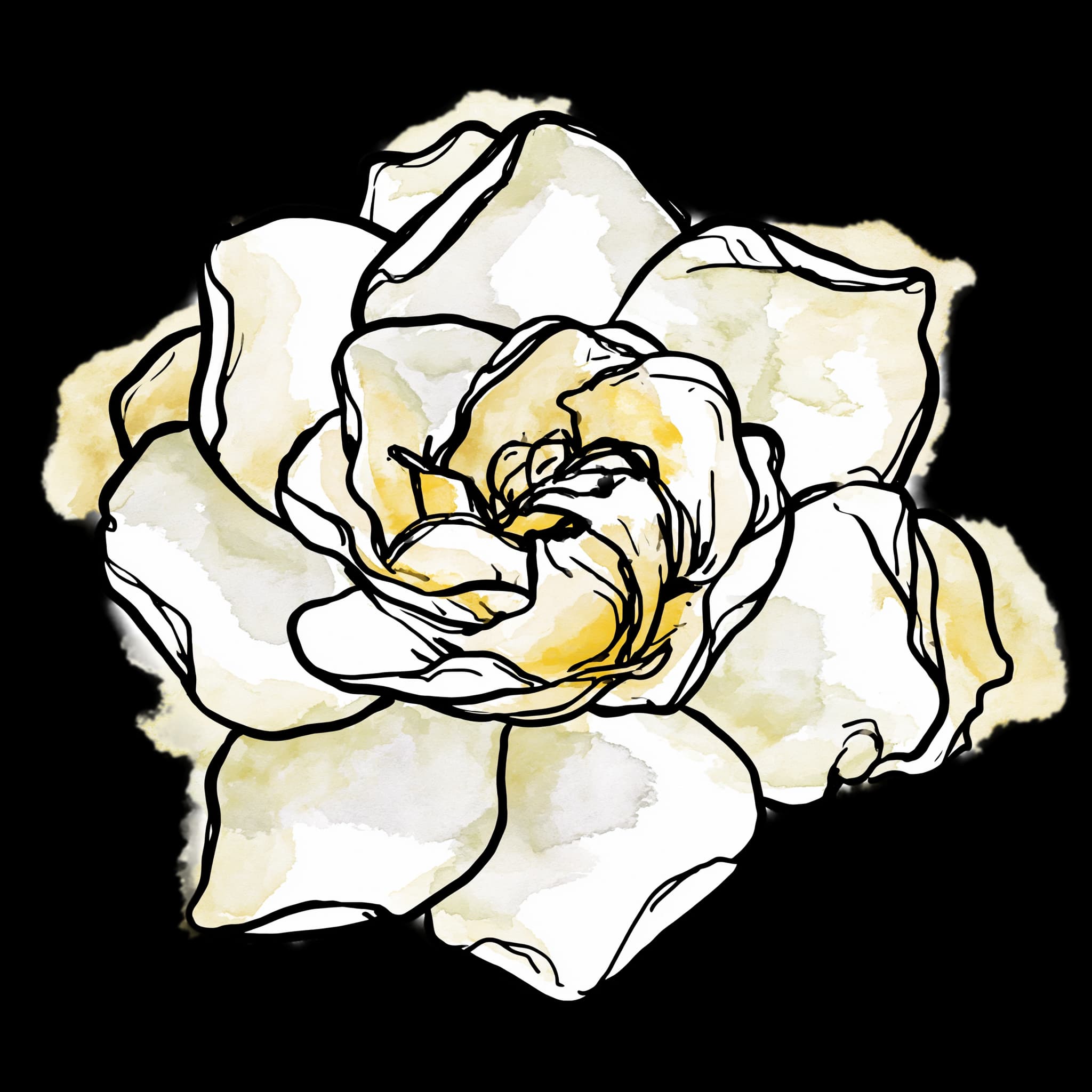 Gardenia