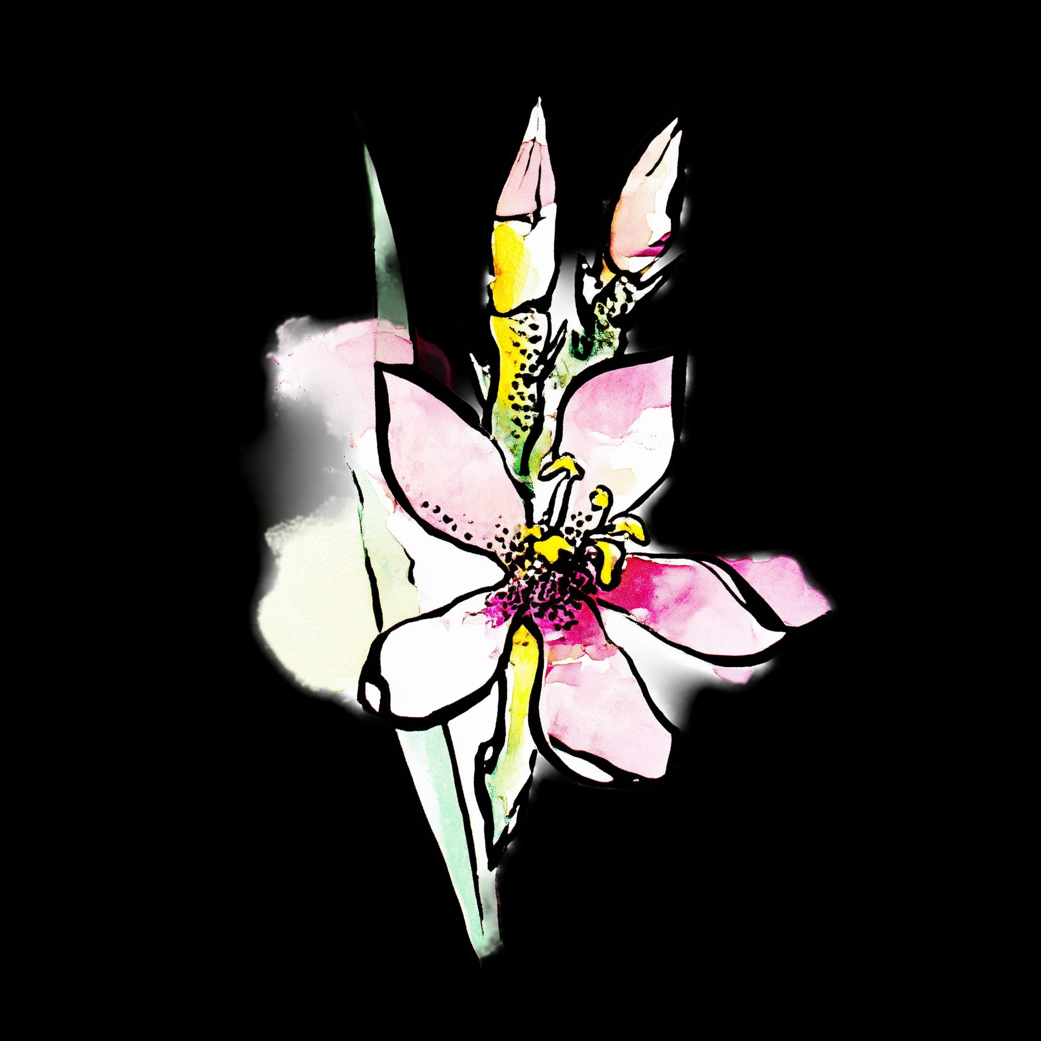 Grass Triggerplant