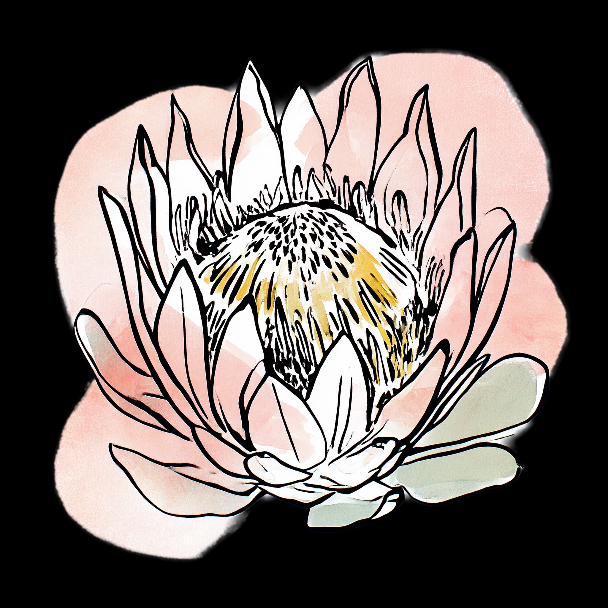 King Protea