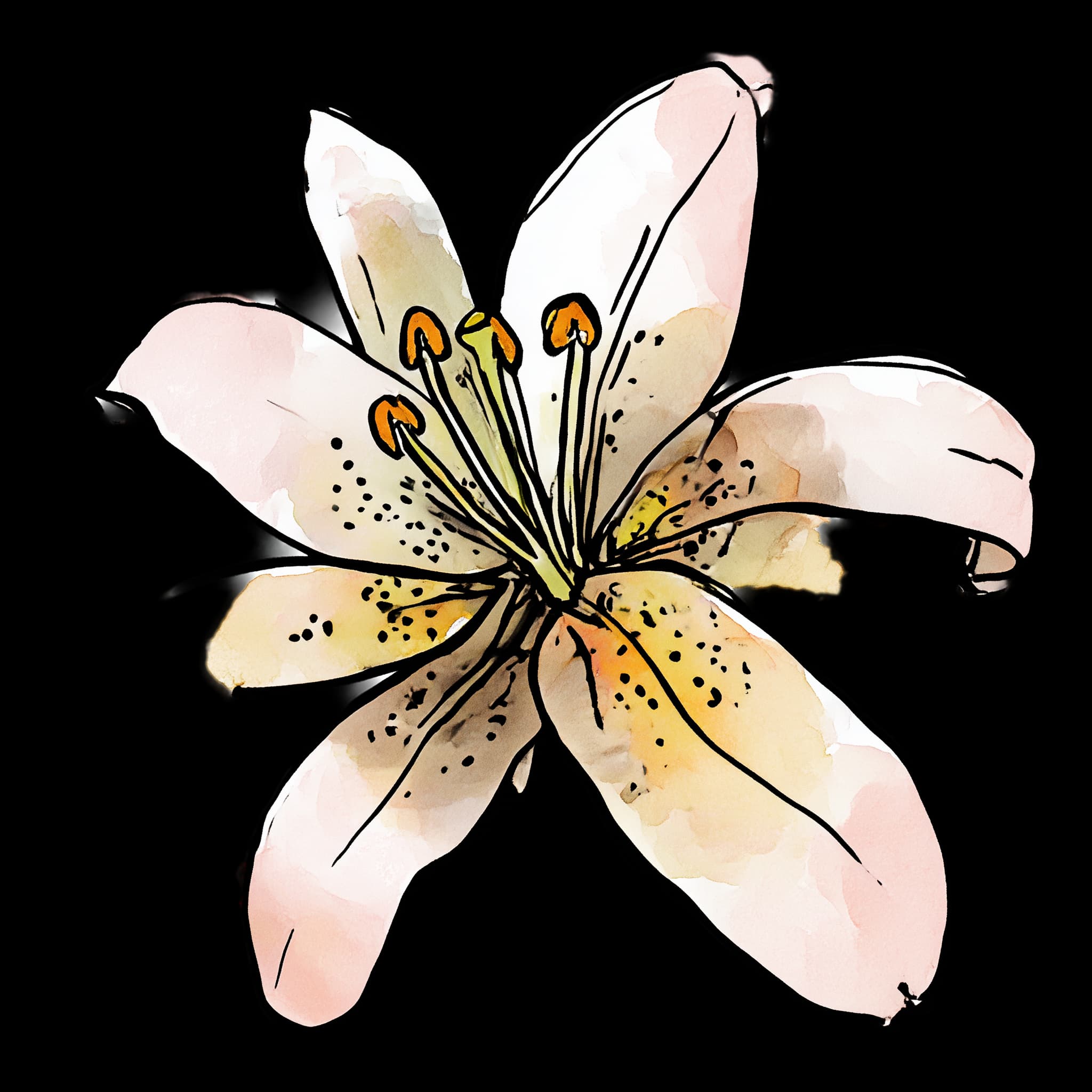 Lily