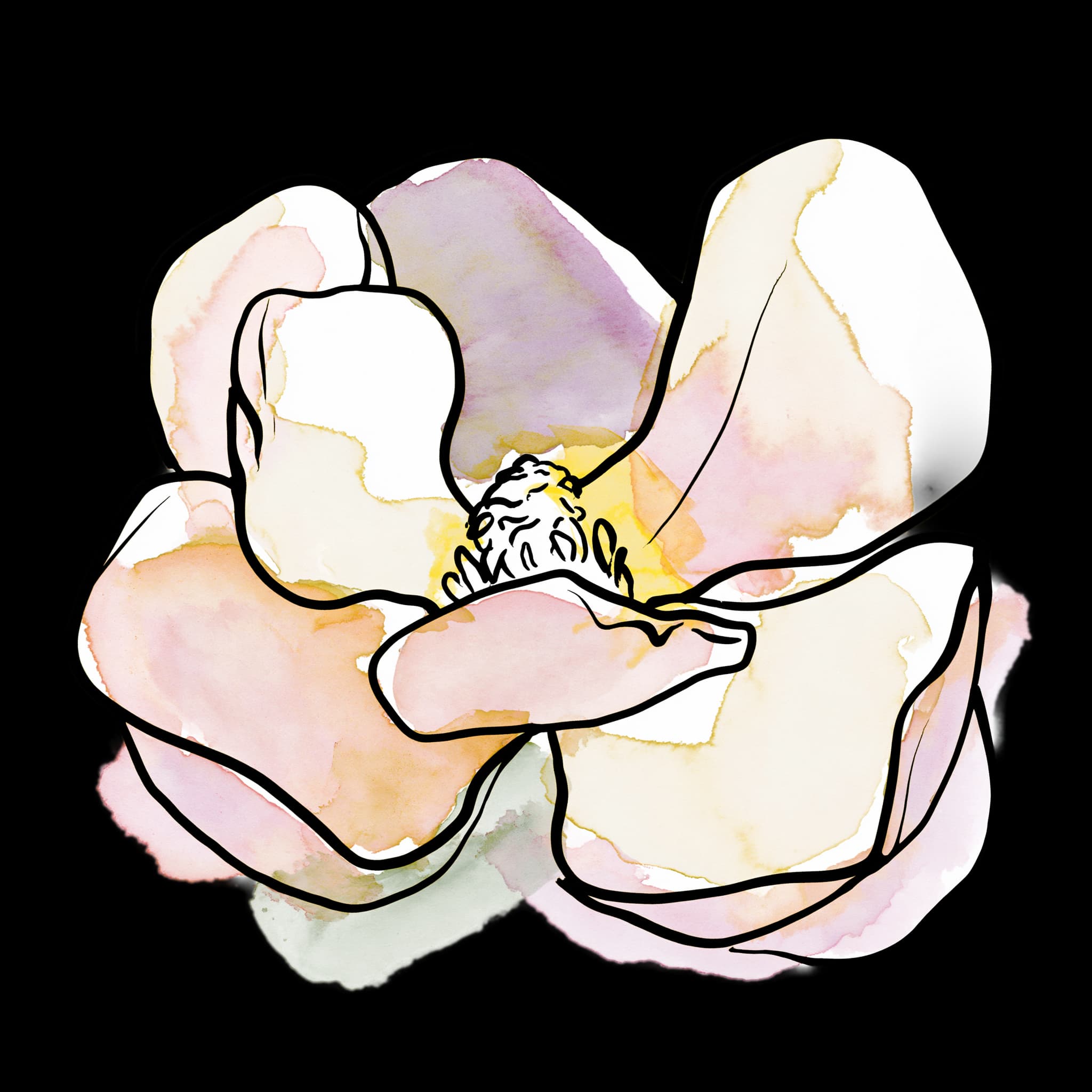 Magnolia