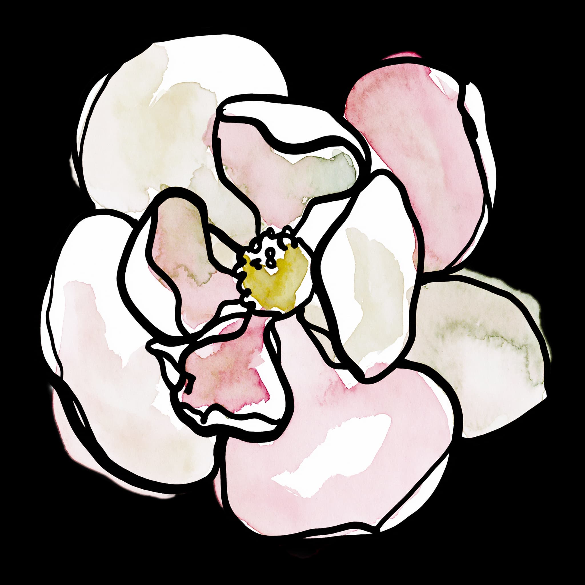 Magnolia
