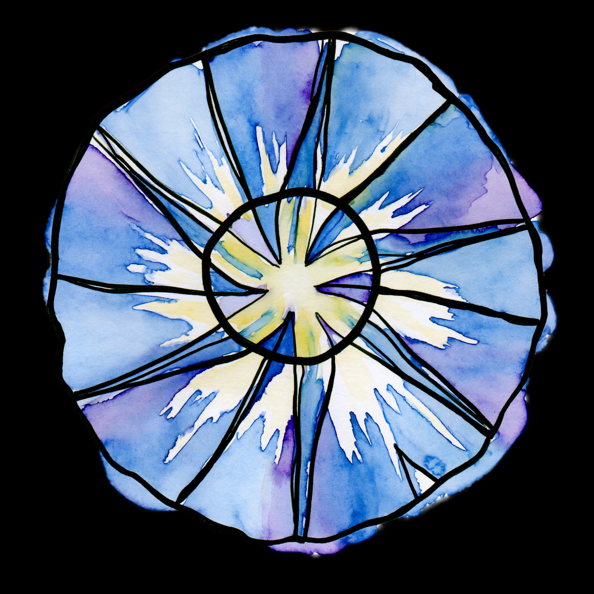 Morning Glory