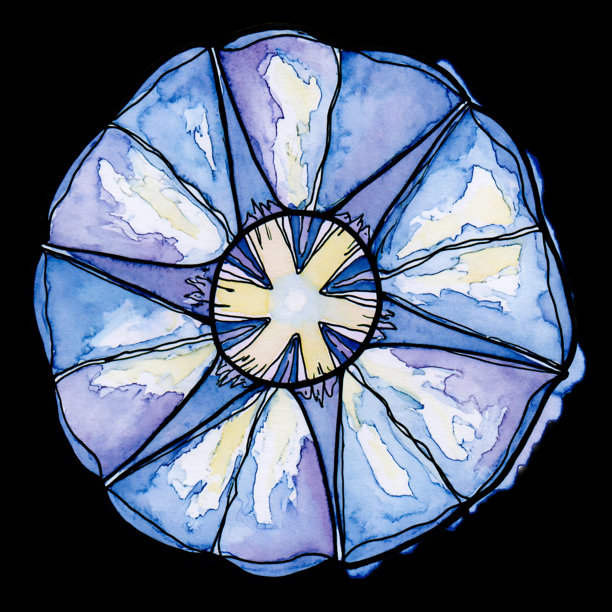 Morning Glory