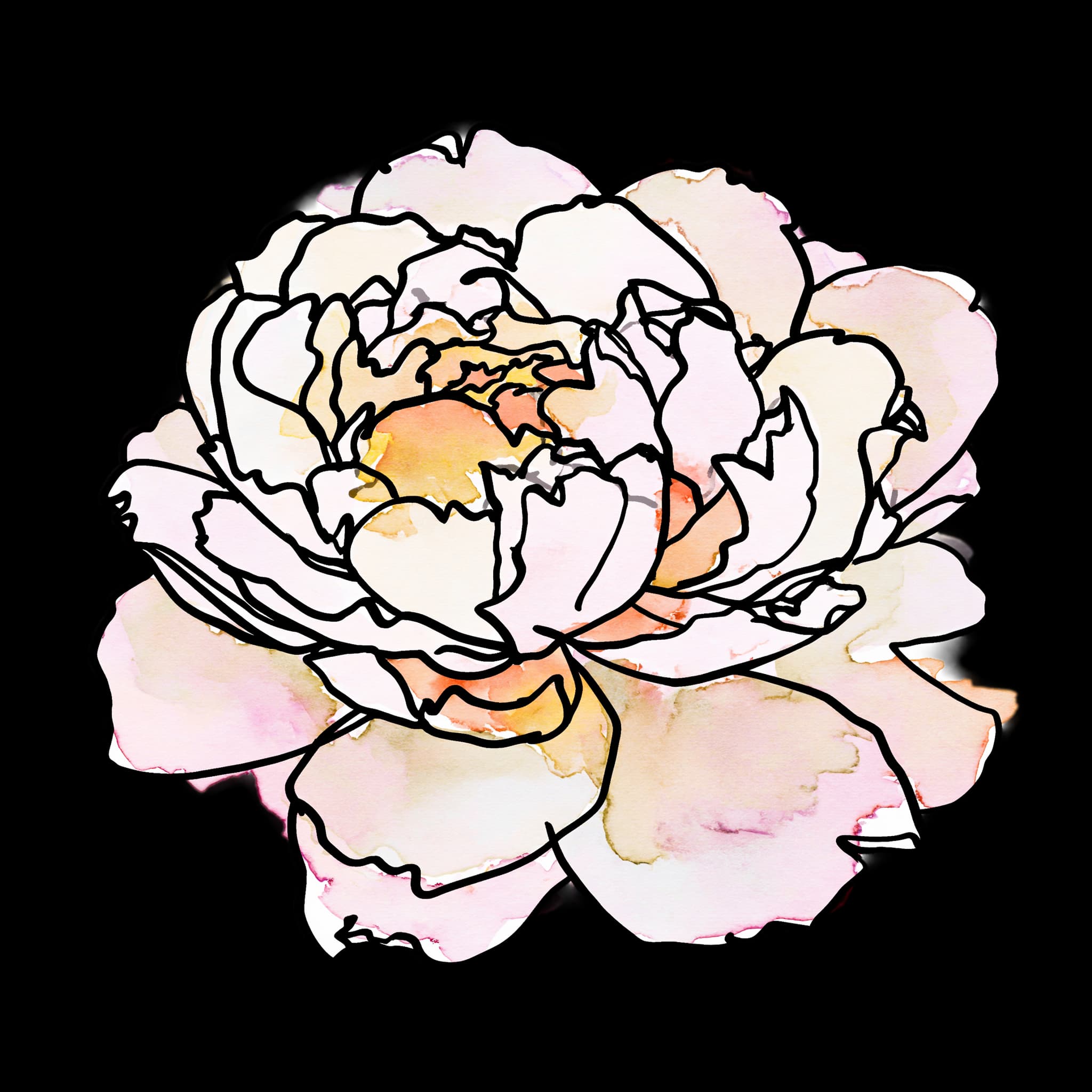 Peony
