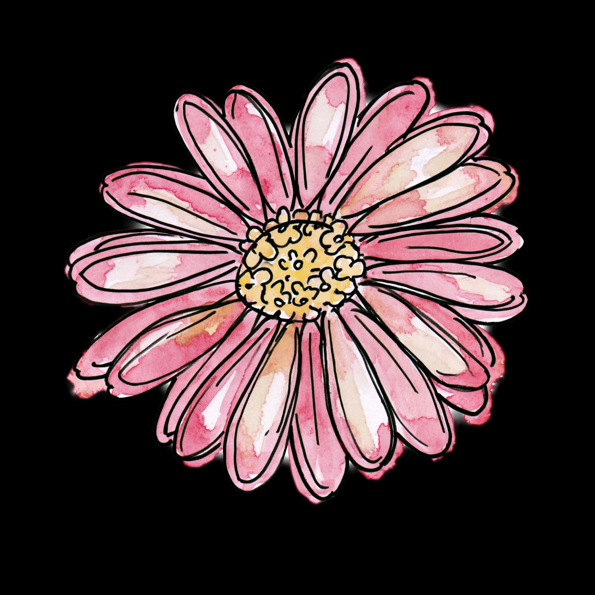 Pink Daisy
