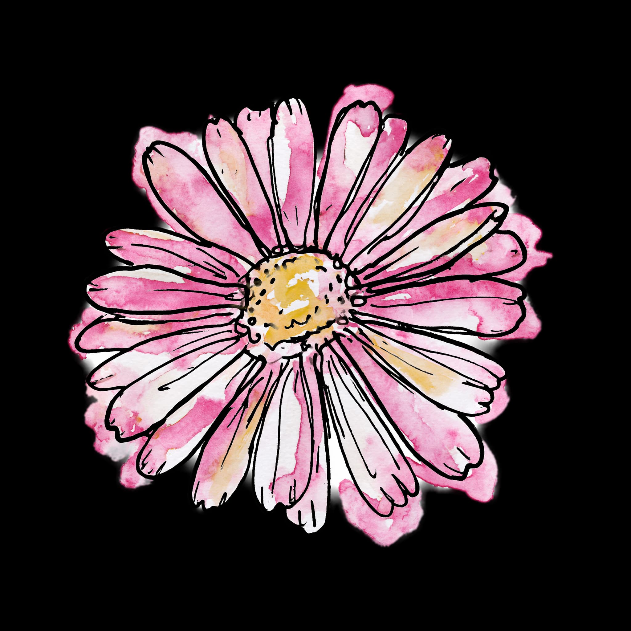 Pink Daisy