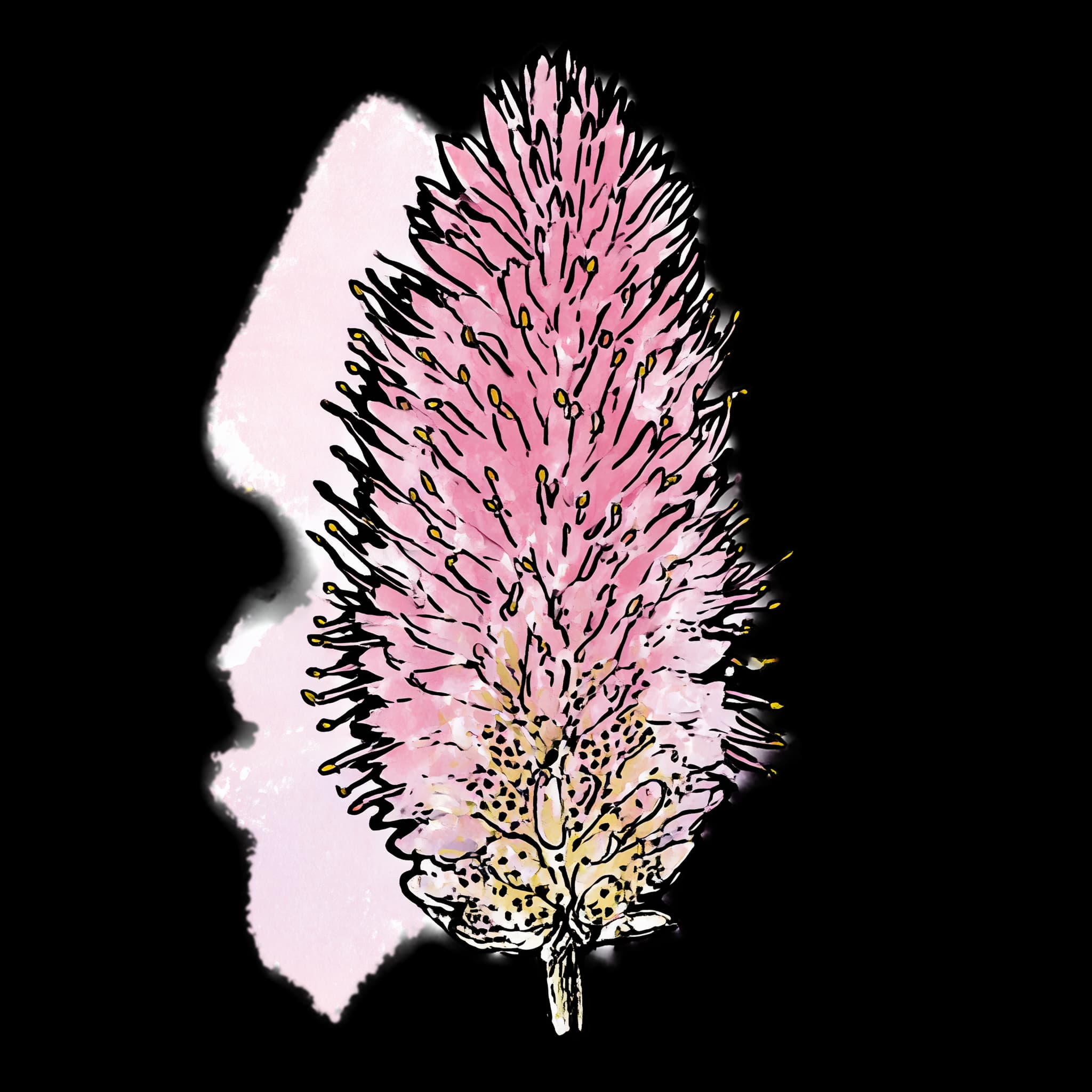 Pink Mulla Mulla