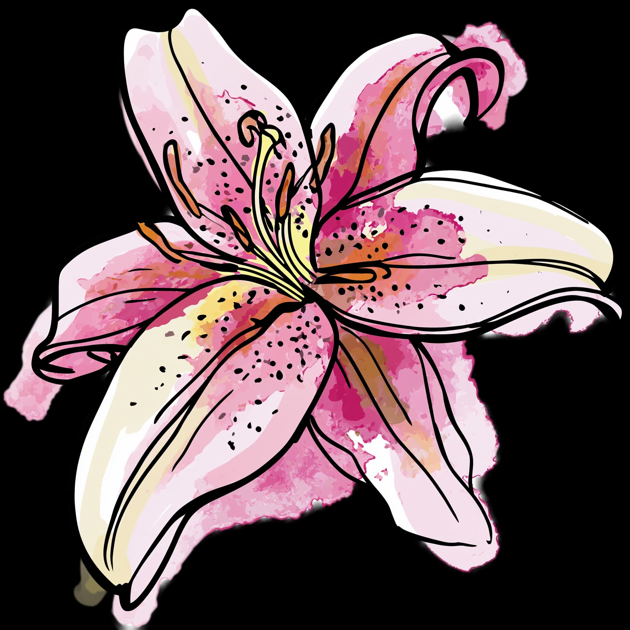 Pink Stargazer Lily