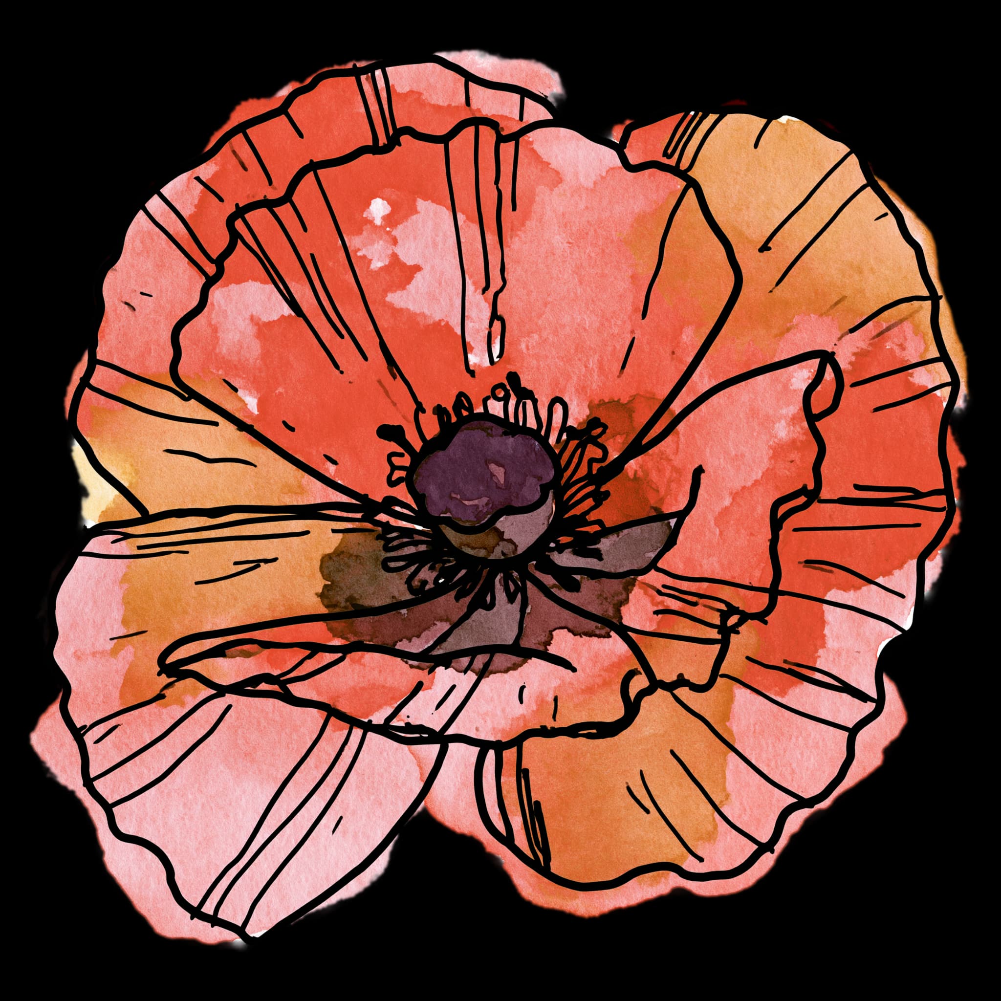 Poppy
