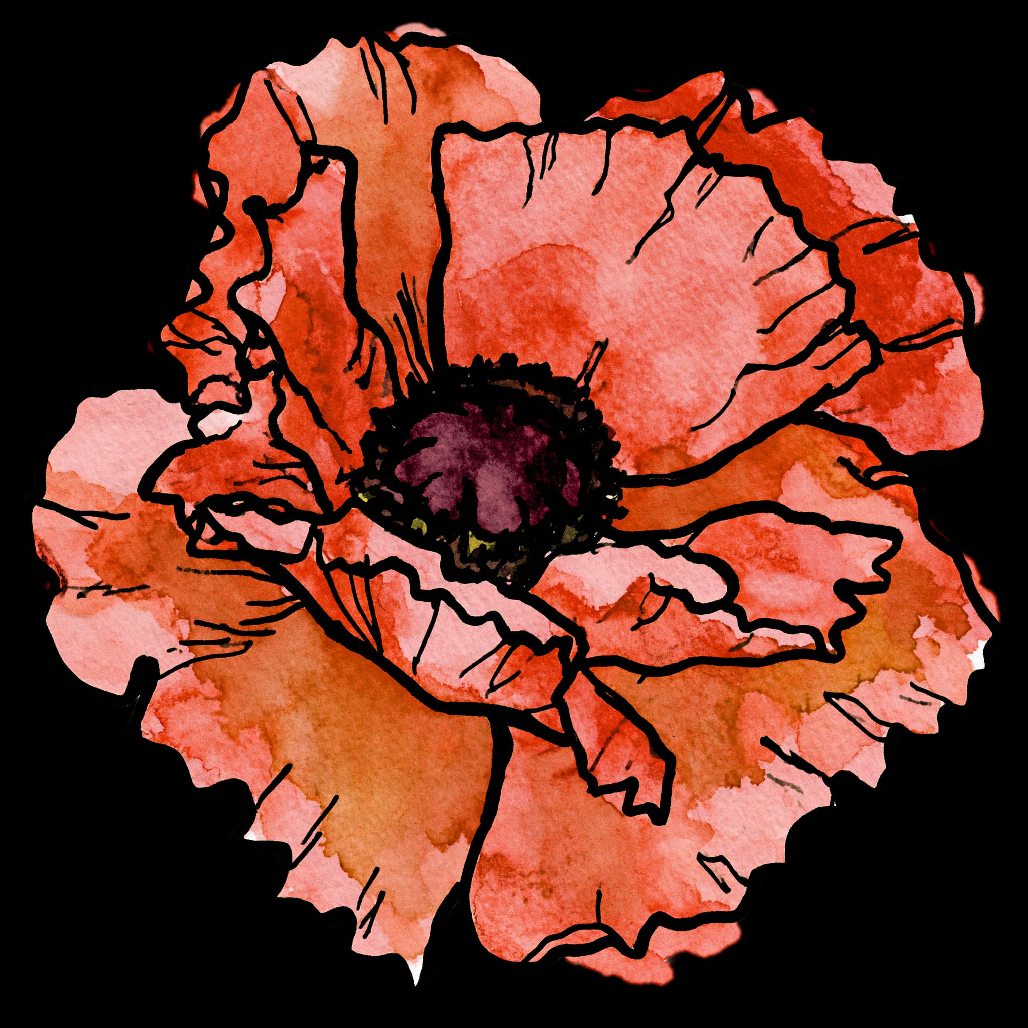 Poppy