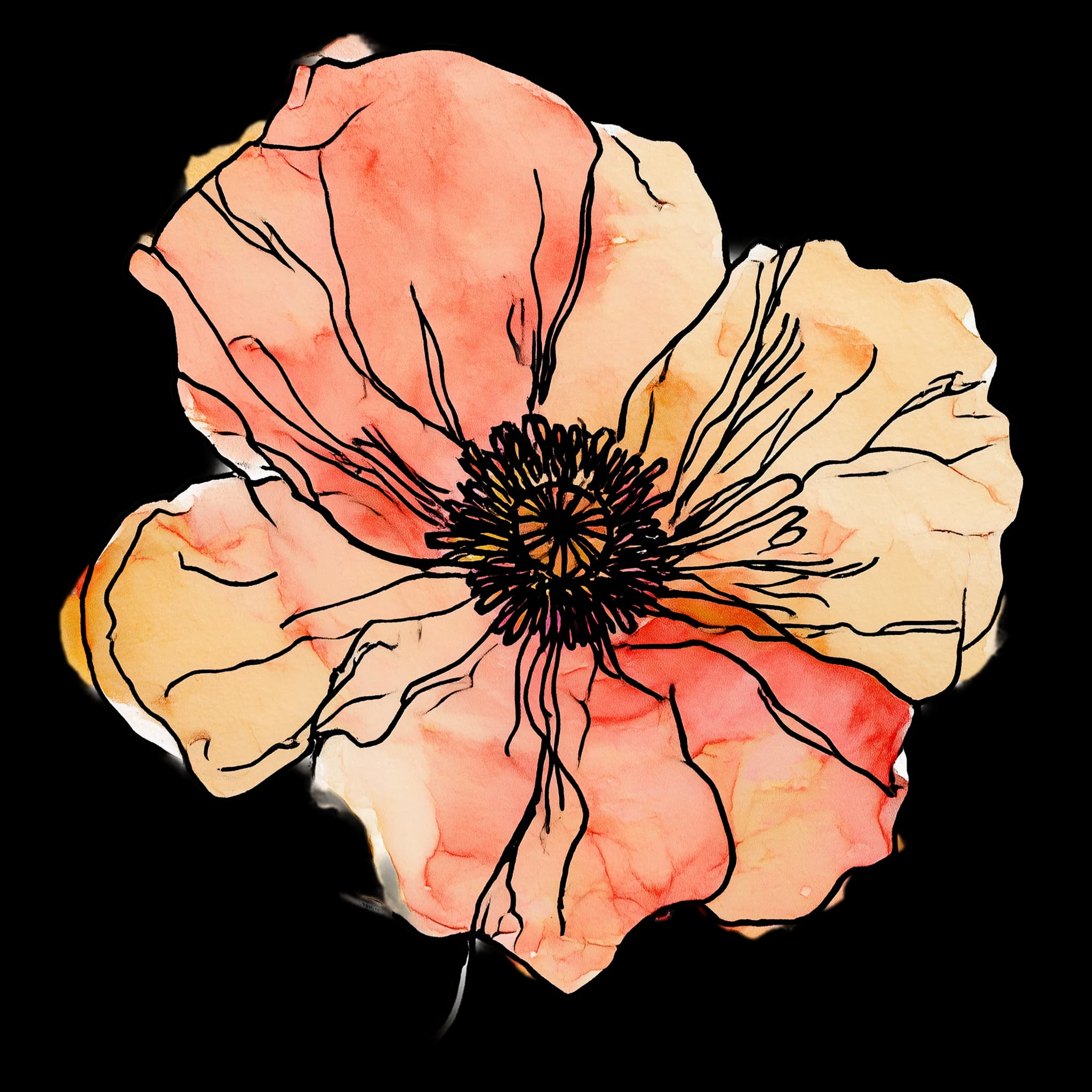Poppy