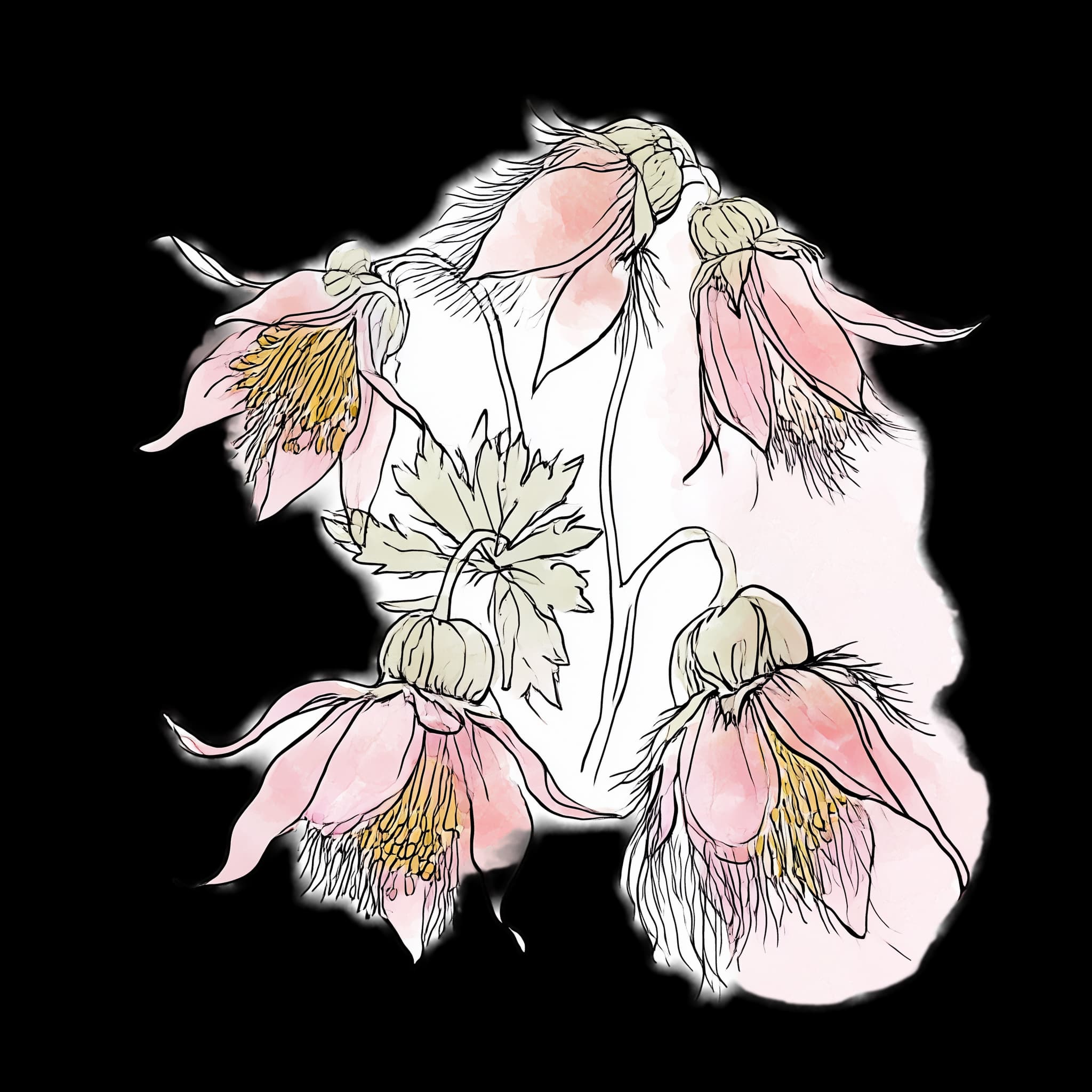 Prairie Smoke