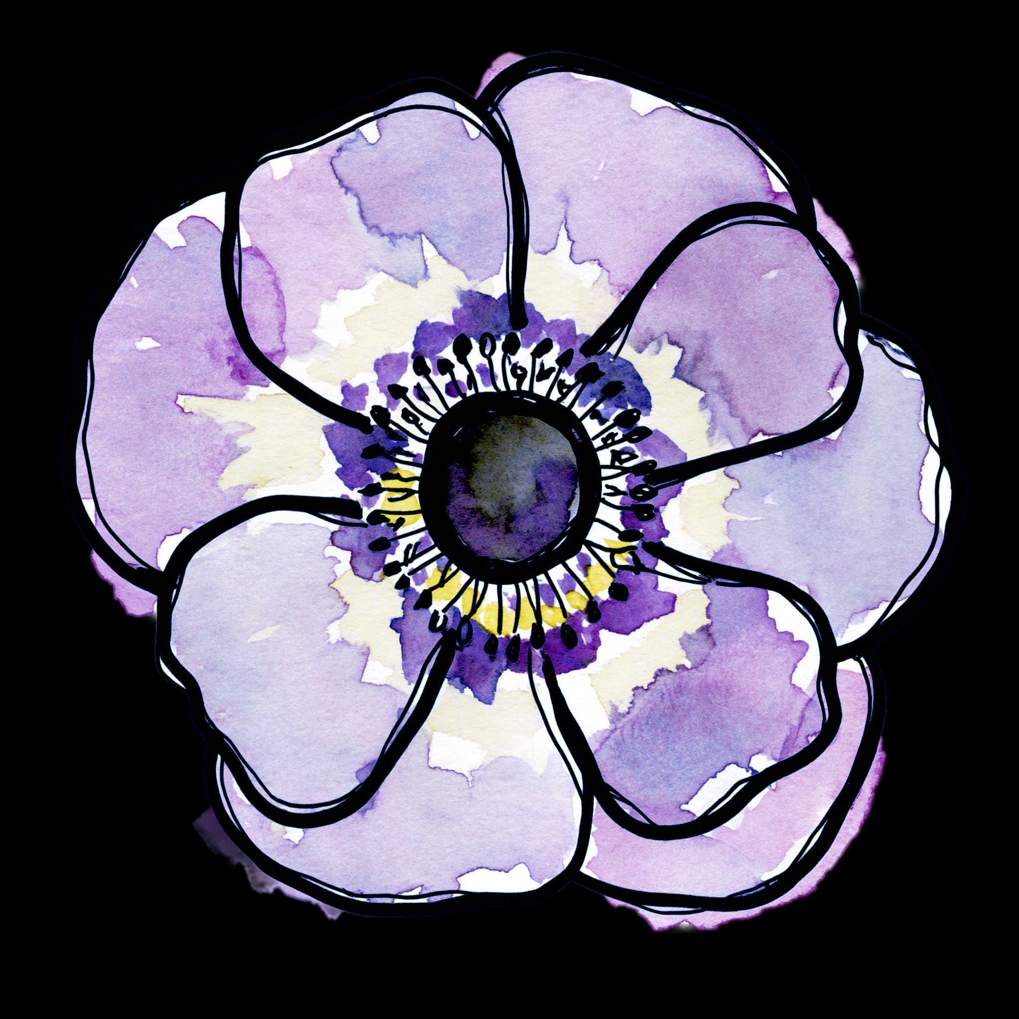 Purple Anemone