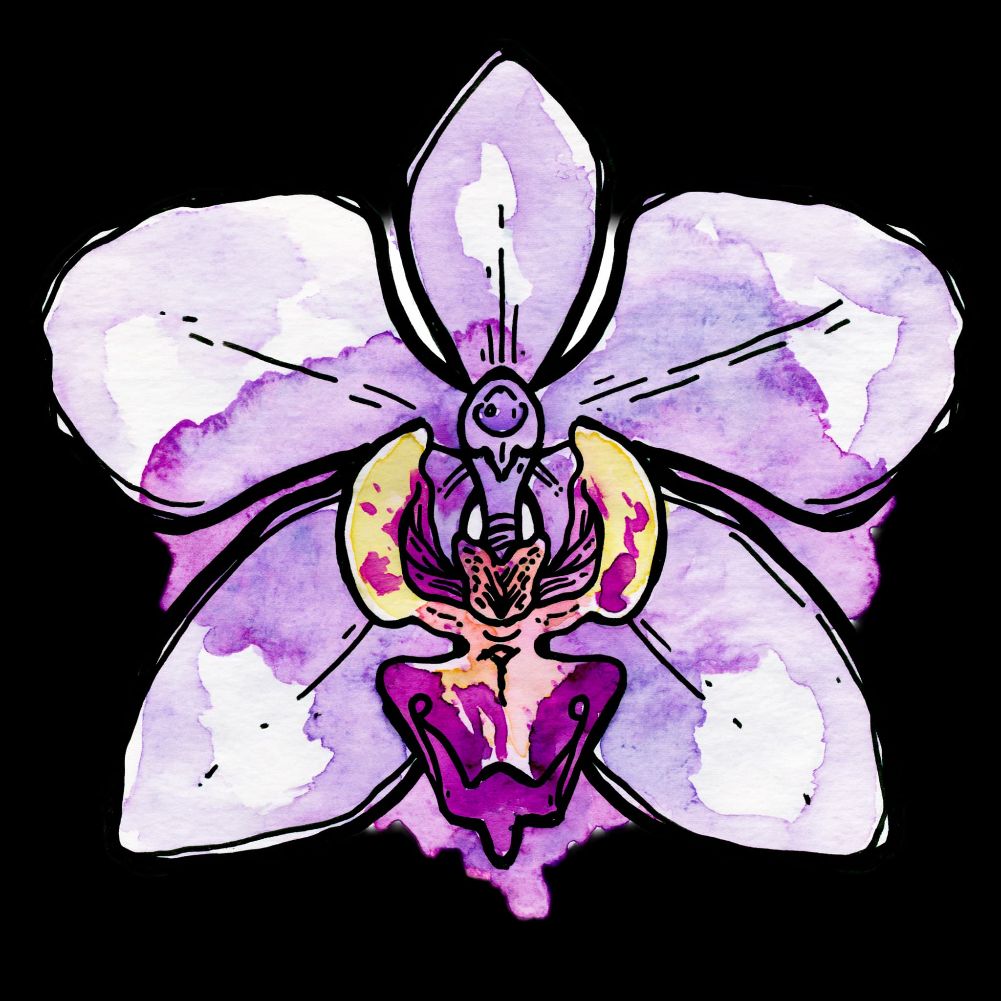Purple Orchid