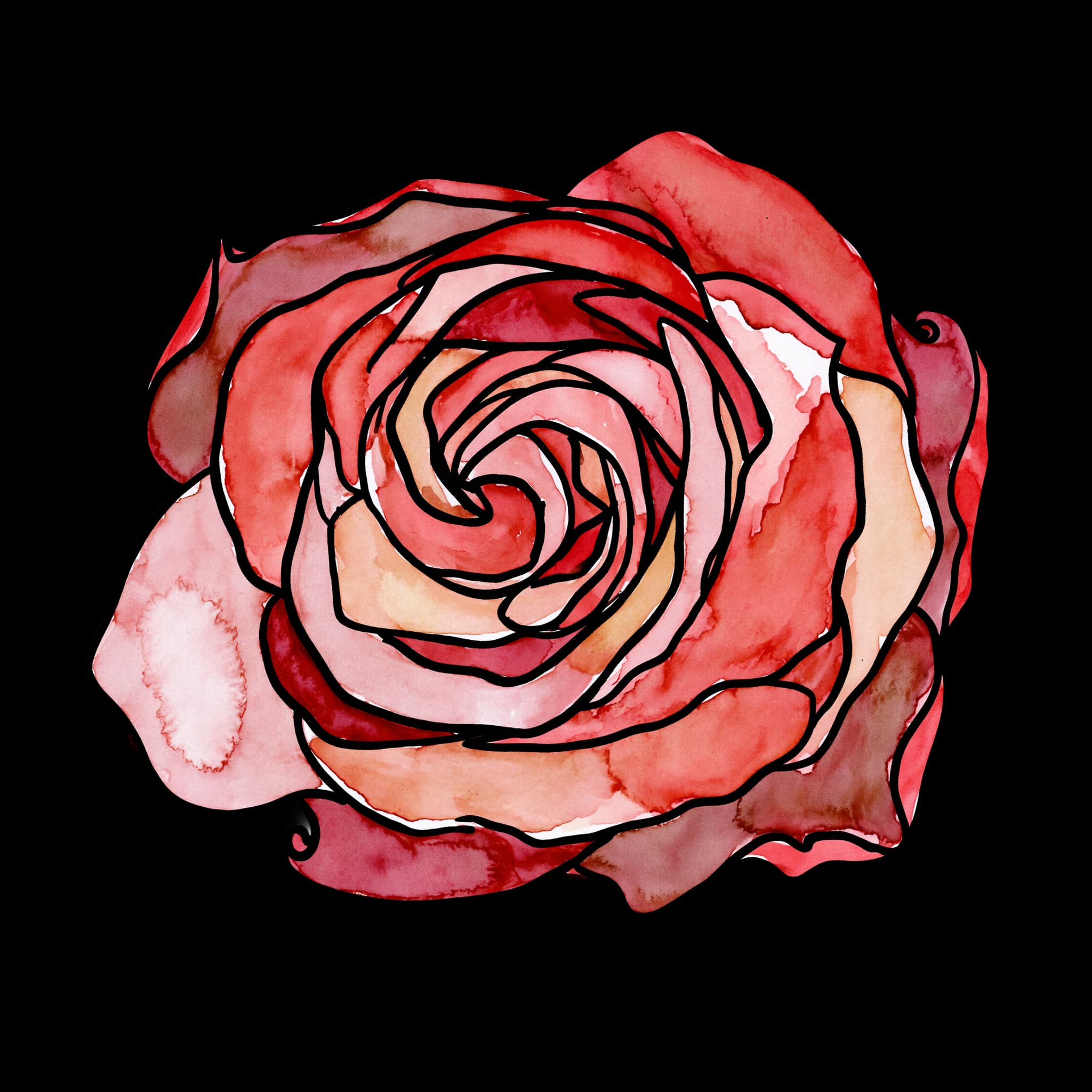 Red Rose