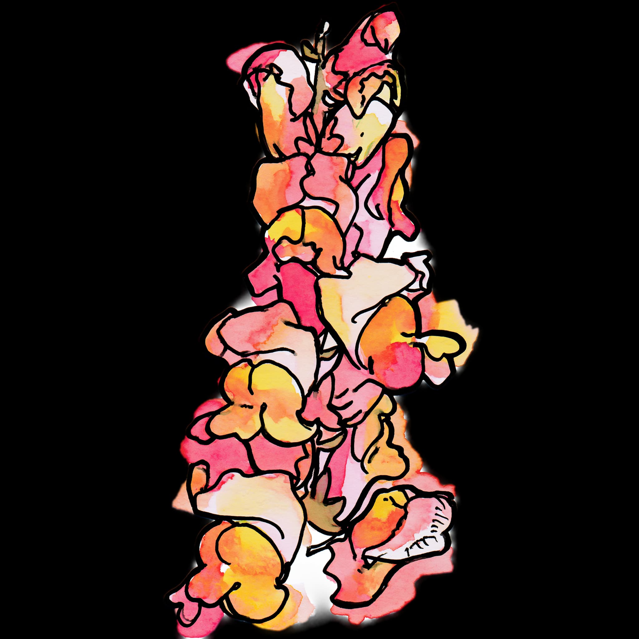 Snapdragon