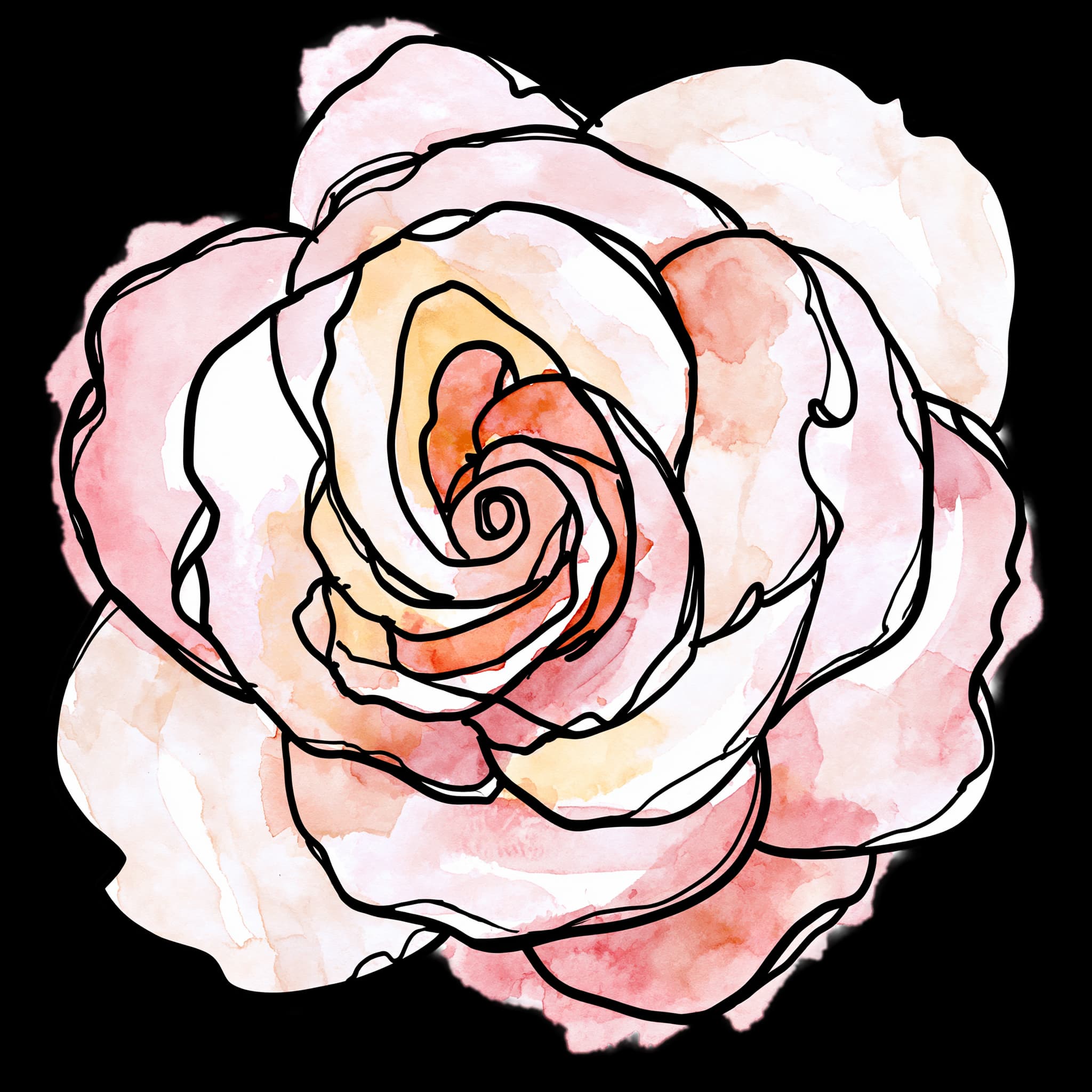 Soft Pink Rose