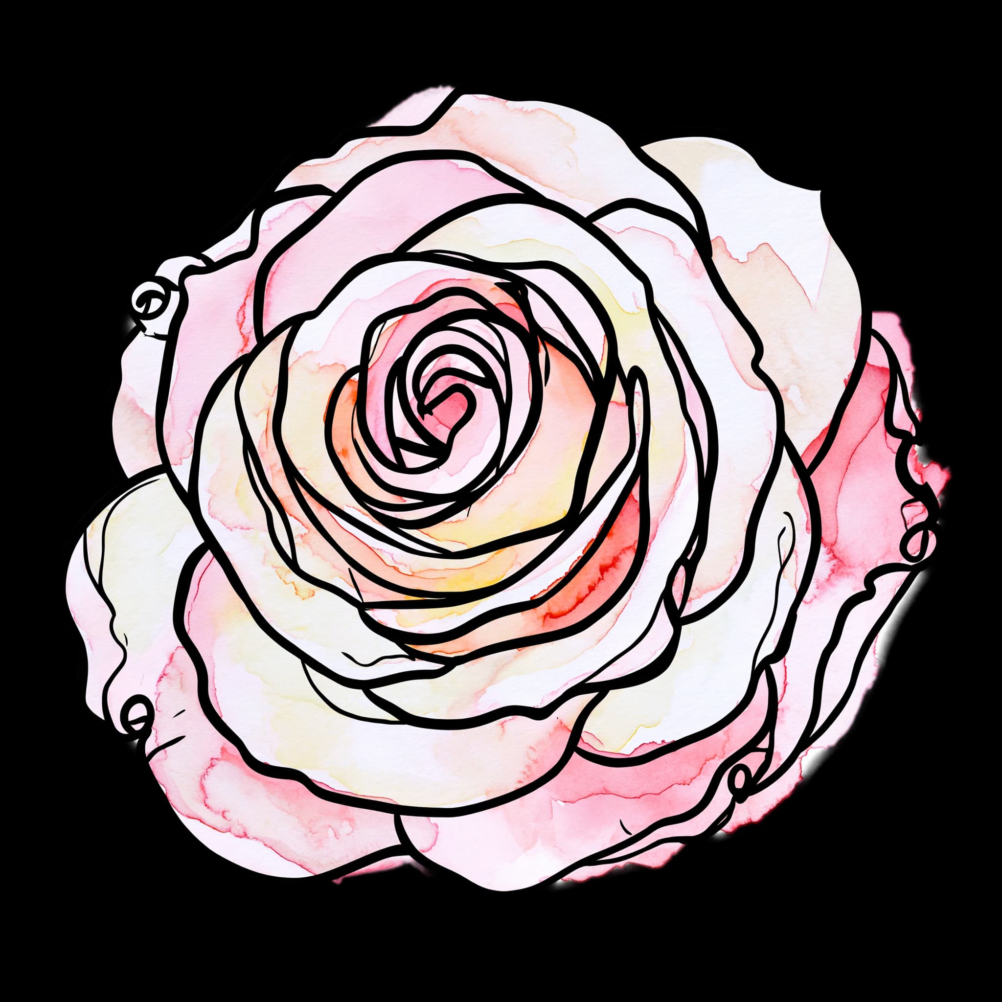 Soft Pink Rose