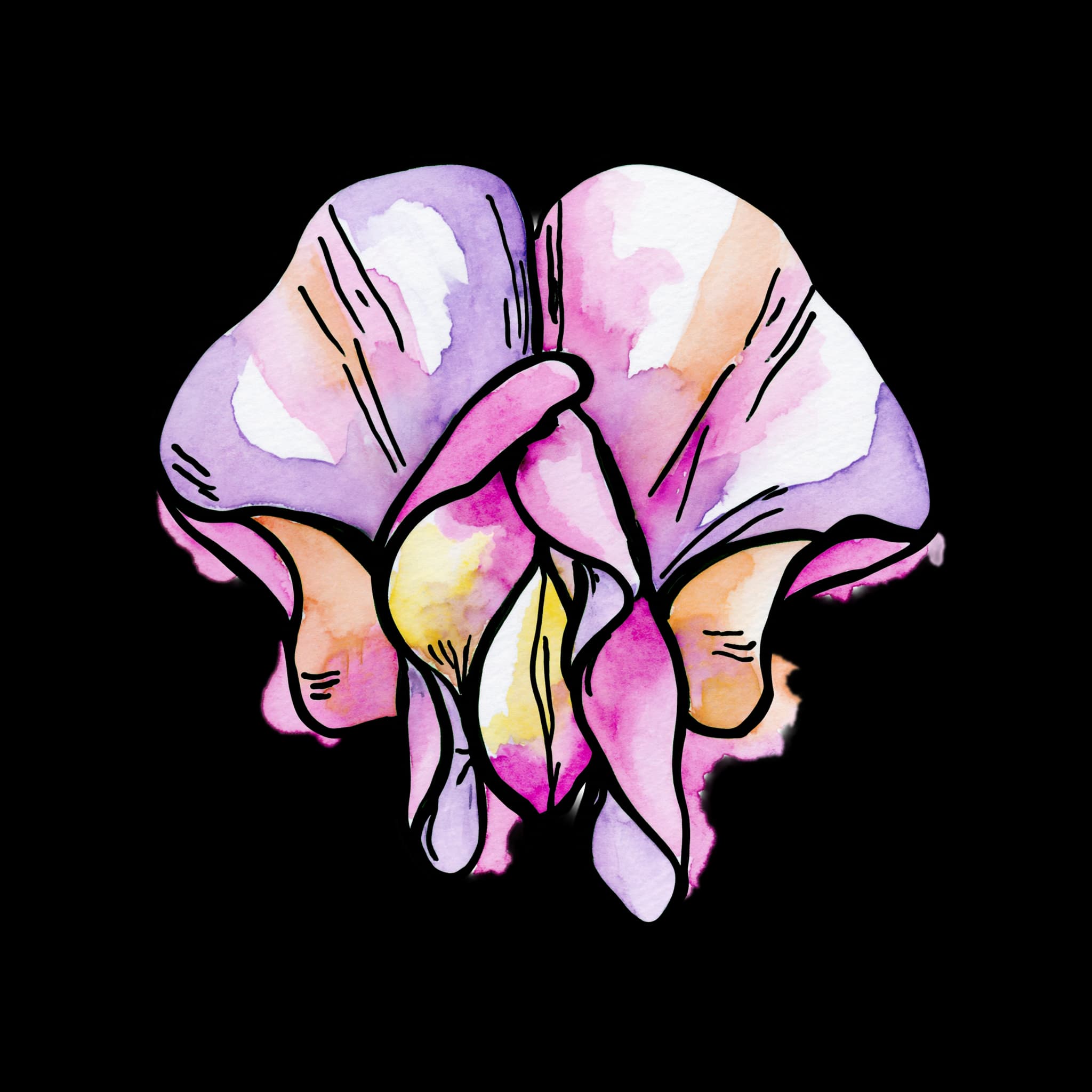 Sweet Pea