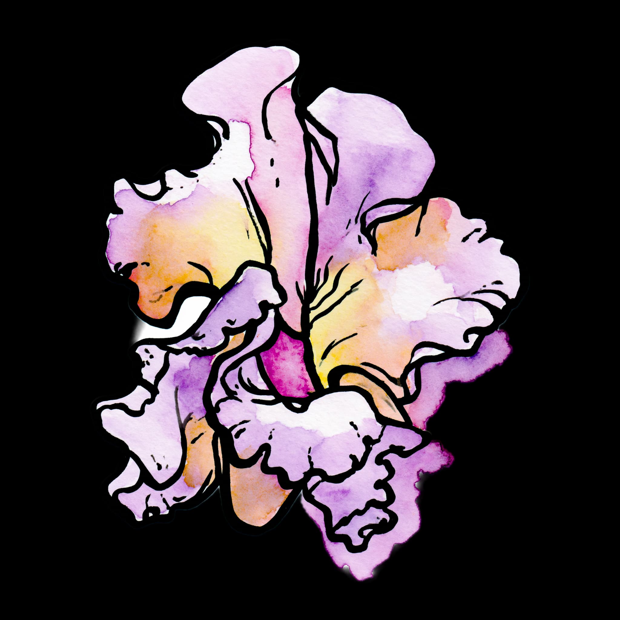 Sweet Pea