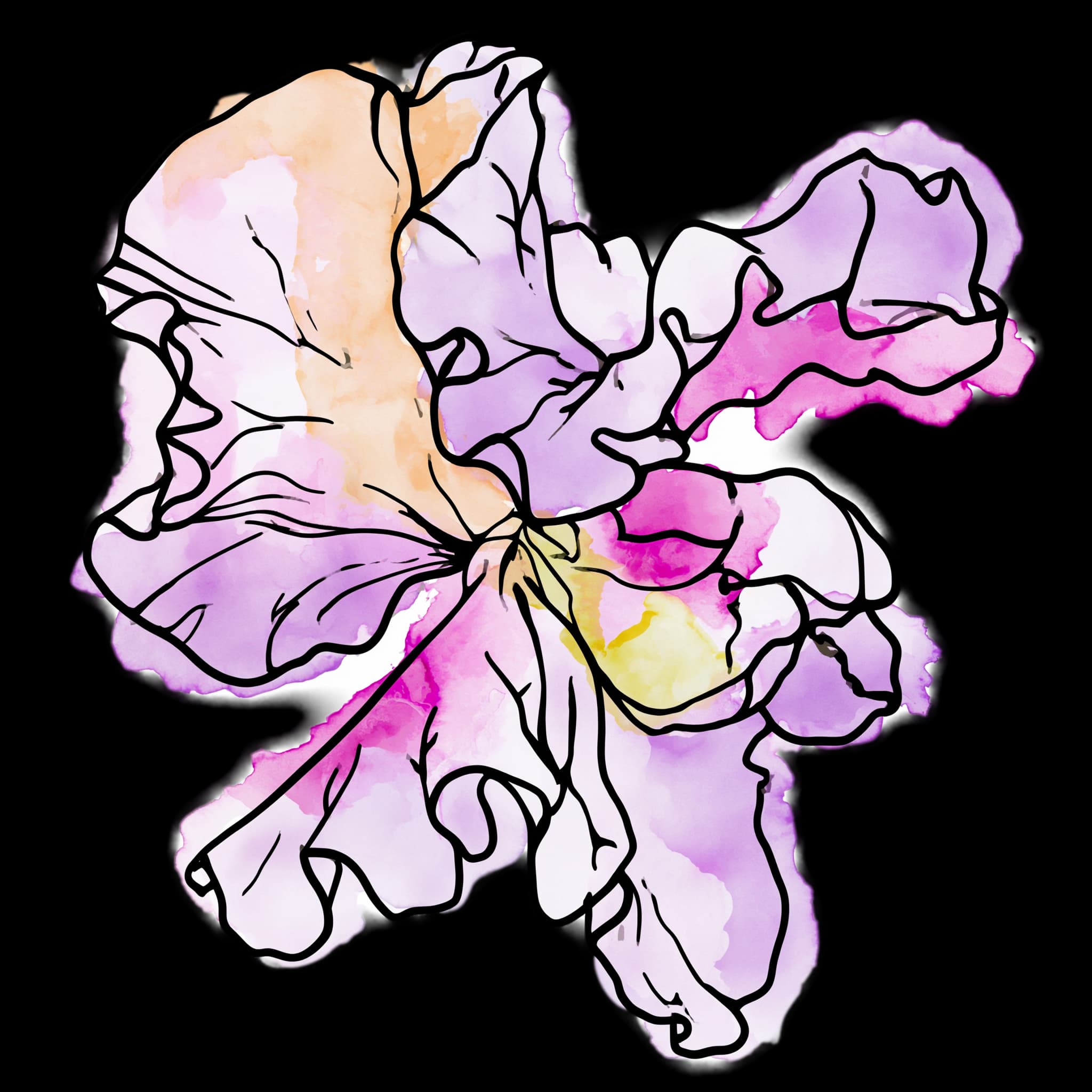 Sweet Pea